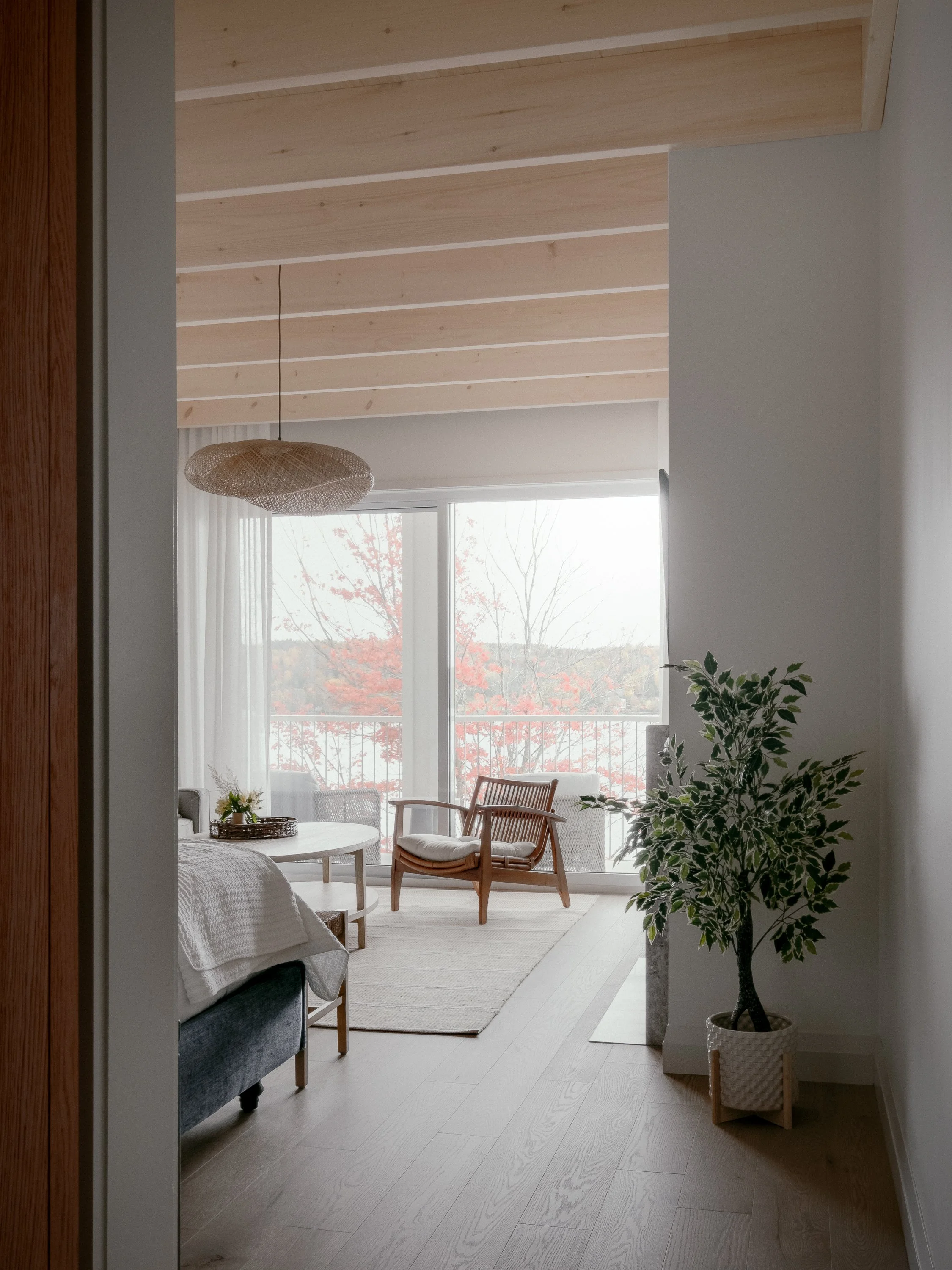 Living room with wooden ceiling, large window with curtains, sofa, wooden chairs, rug, and a potted plant.