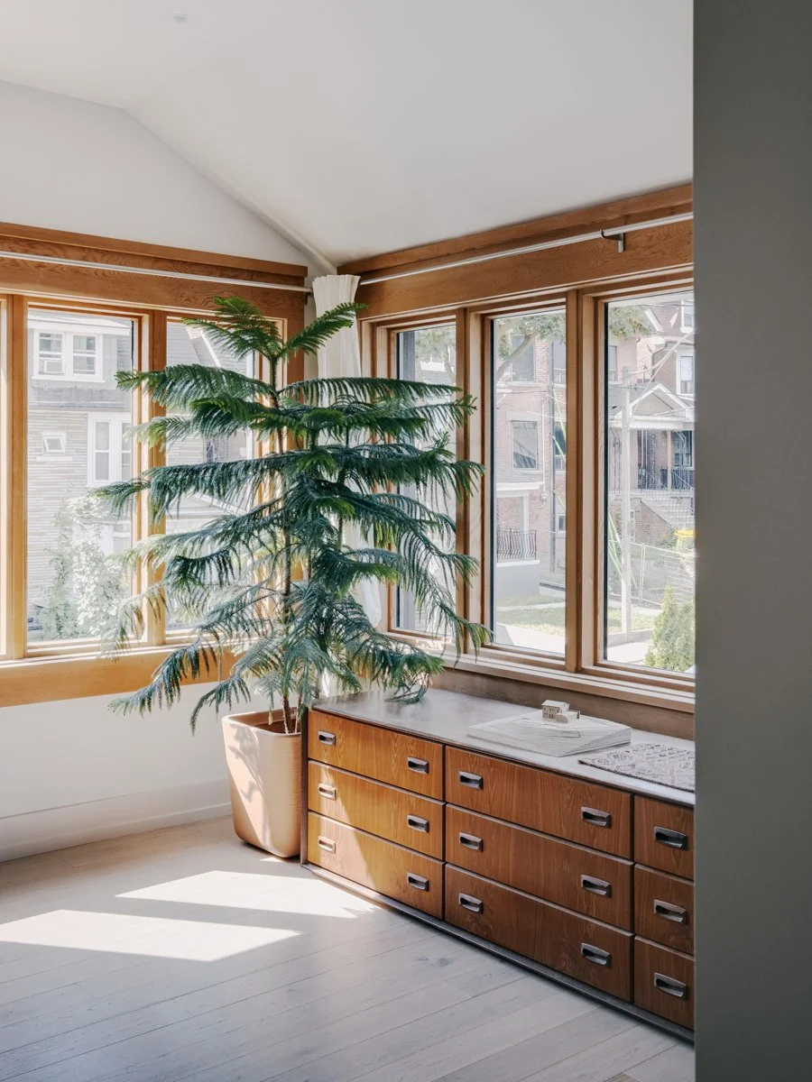 A corner of a room with large windows, a wooden sideboard, and a tall potted plant near the window, with sunlight streaming in.
