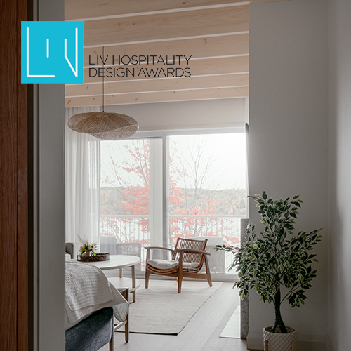 Living room with wooden ceiling, large window, and minimalist furniture including a chair and a potted plant.