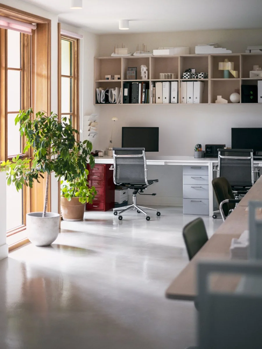 Modern office space with two desks, ergonomic chairs, bookshelf with binders and decor, large potted plant near windows, and sunlight coming through.