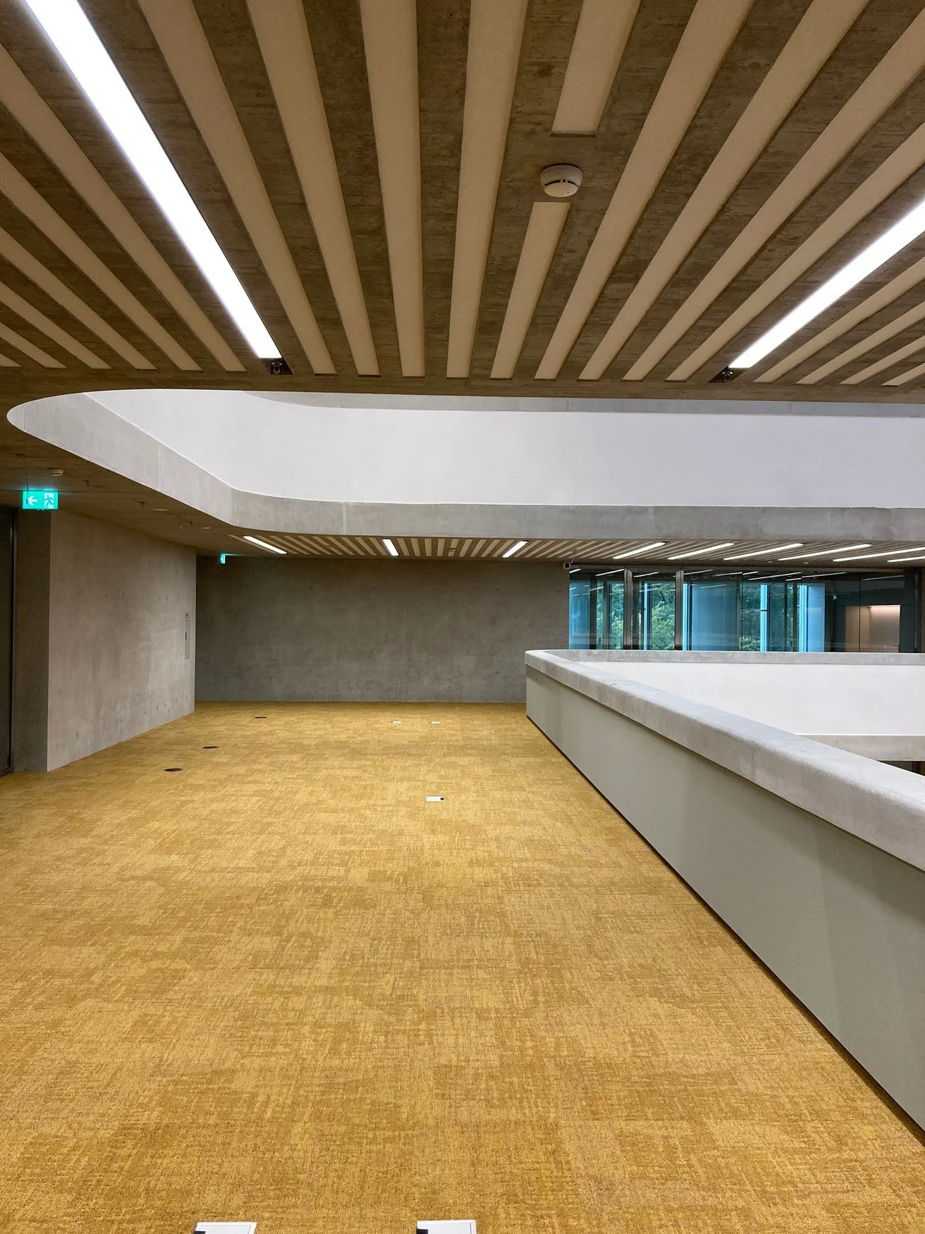 Plâtre lisse à profil courbe sous lames acoustiques réalisé par DSD SA dans une organisation internationale à Genève
