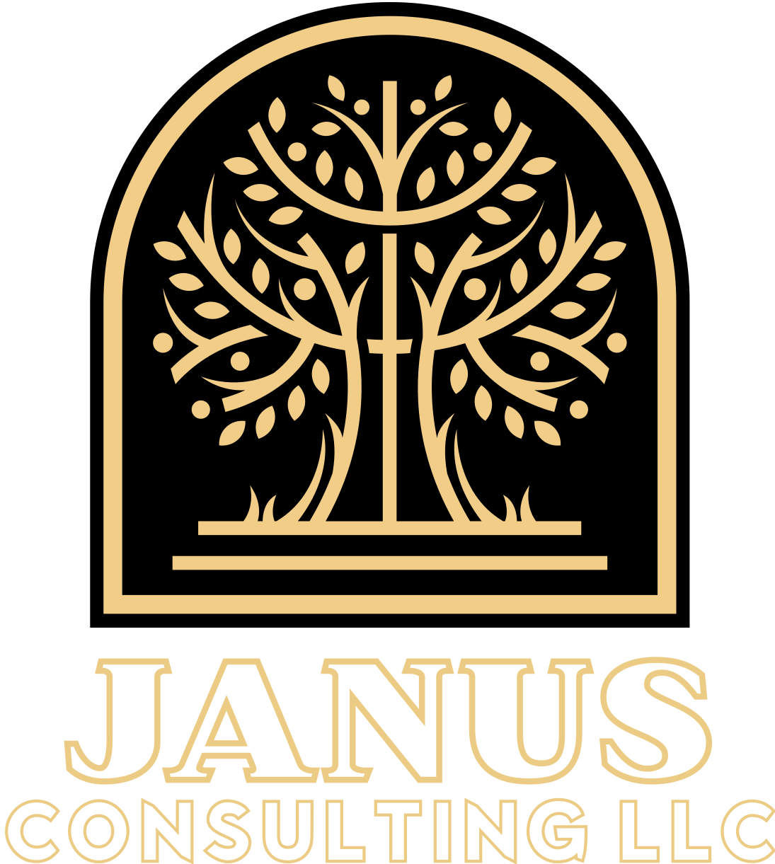 Janus Consulting LLC