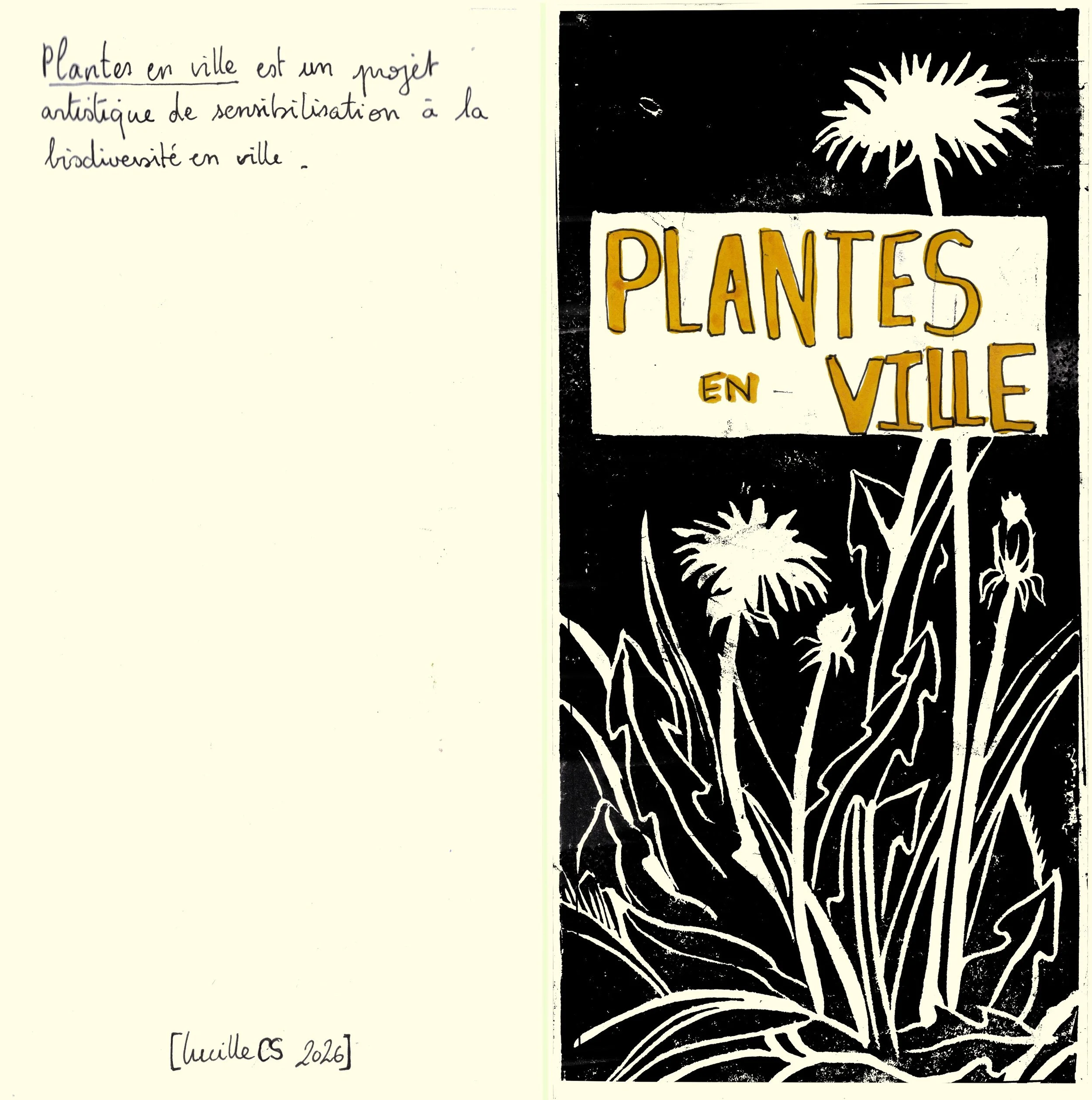 RECTO_Plantes_en_ville.jpg