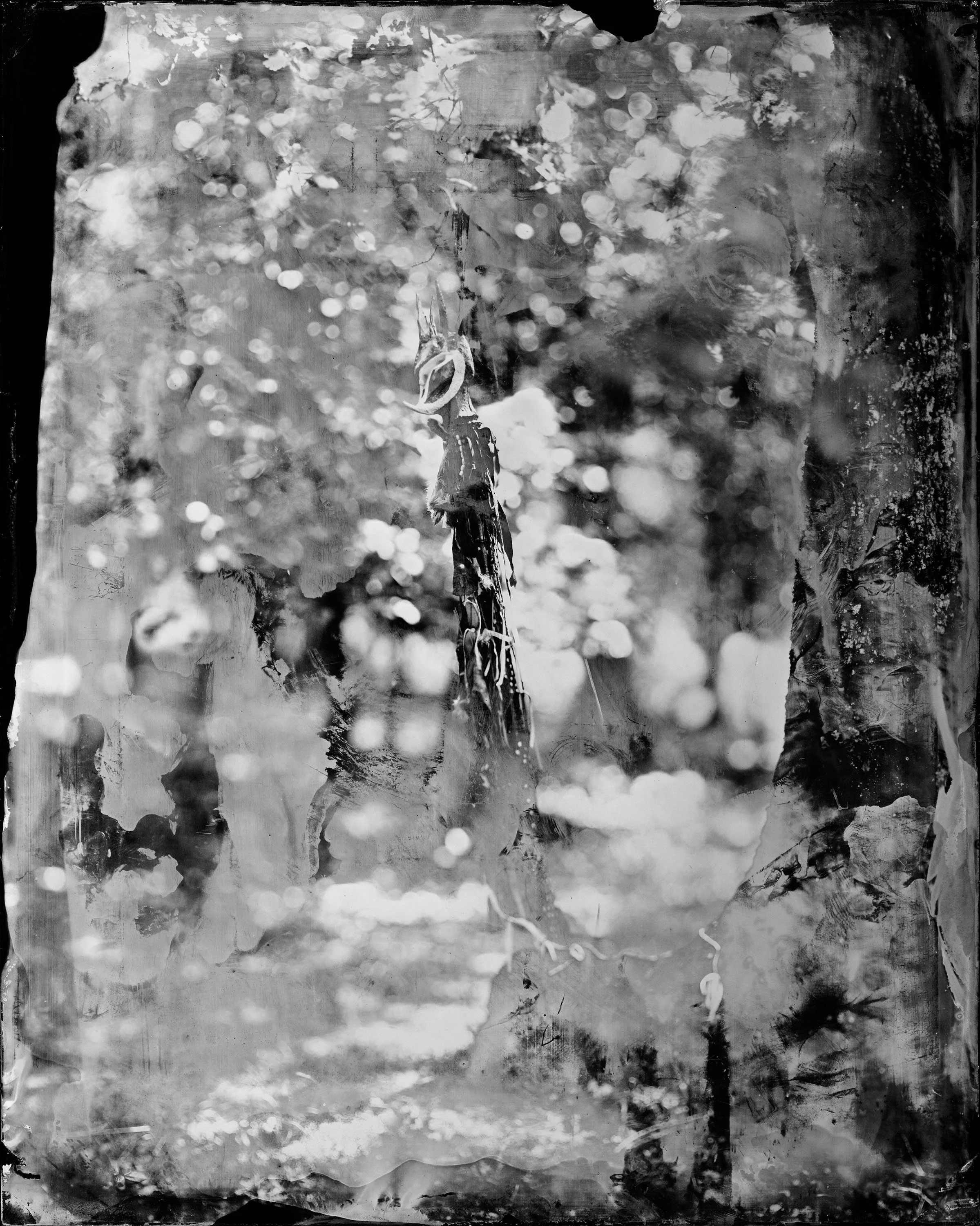 Visible et invisible en Périgord noir ©PatrickJamesMichel.jpg