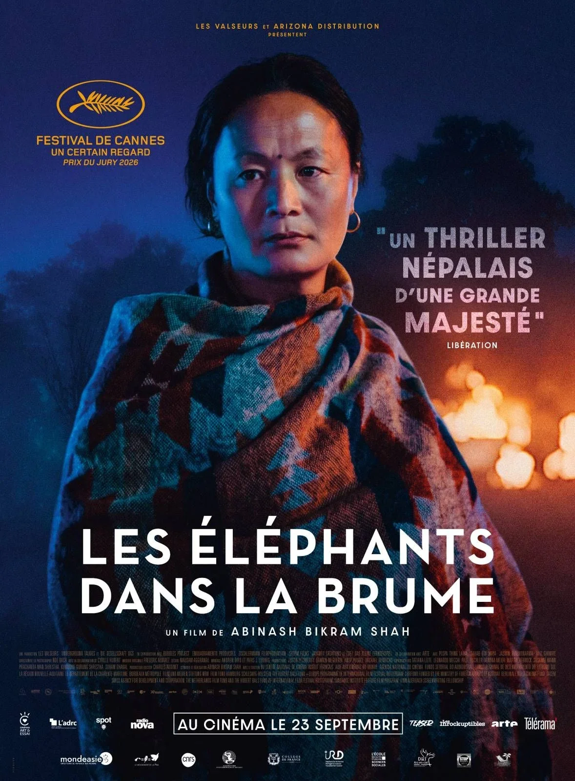 Les éléphants dans la Brume