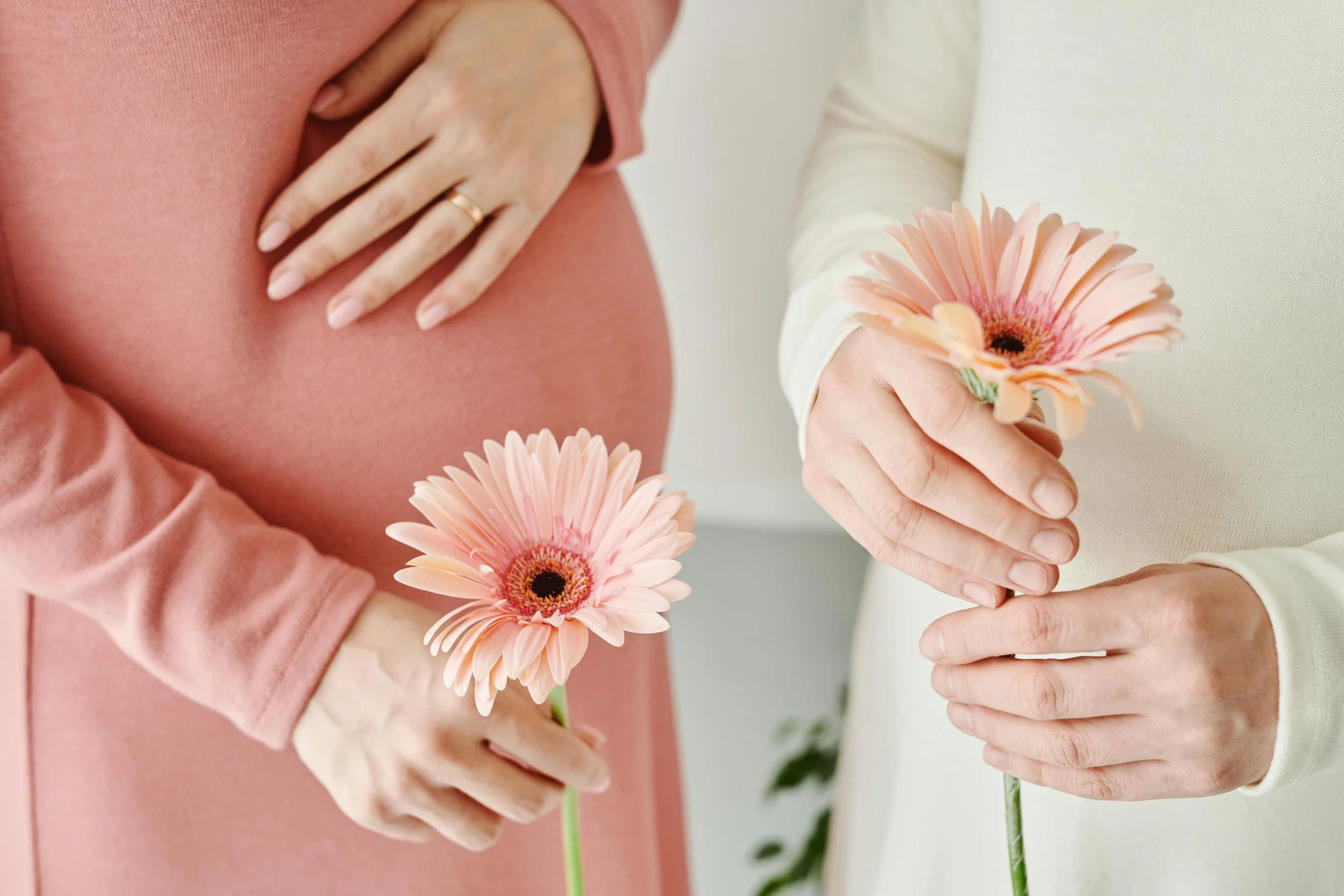 Two women holding pink gerbera daisies, one wearing a pink long sleeve top, and the other in a white long sleeve top, with only their hands and lower torsos visible.