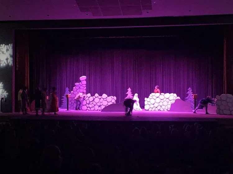 Lighting Designer (Annual Christmas Show 2021)