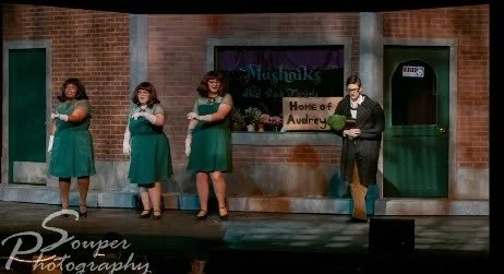 Spotlight Operator (Little Shop of Horrors 2019)