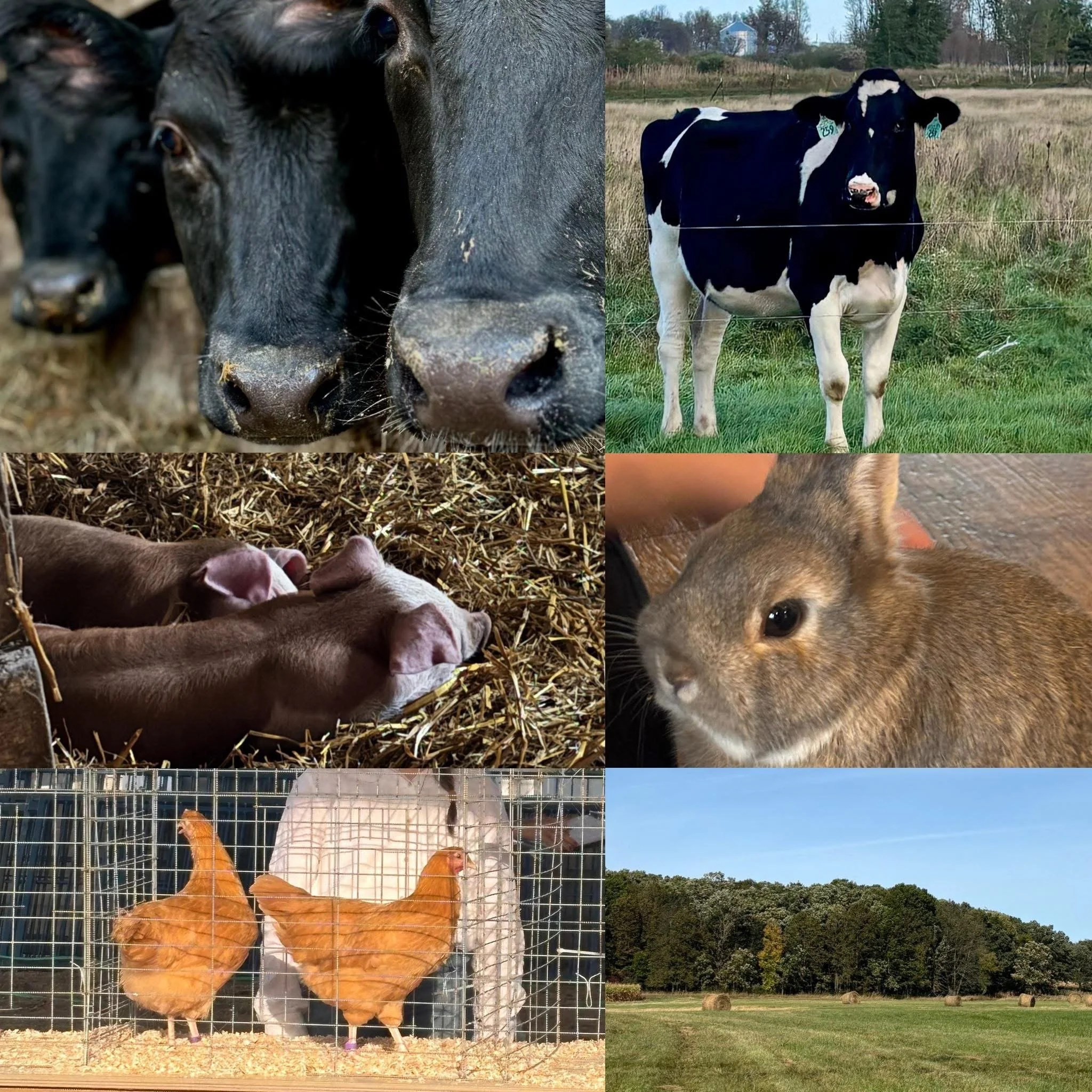 Rooted in tradition. Raised with purpose.