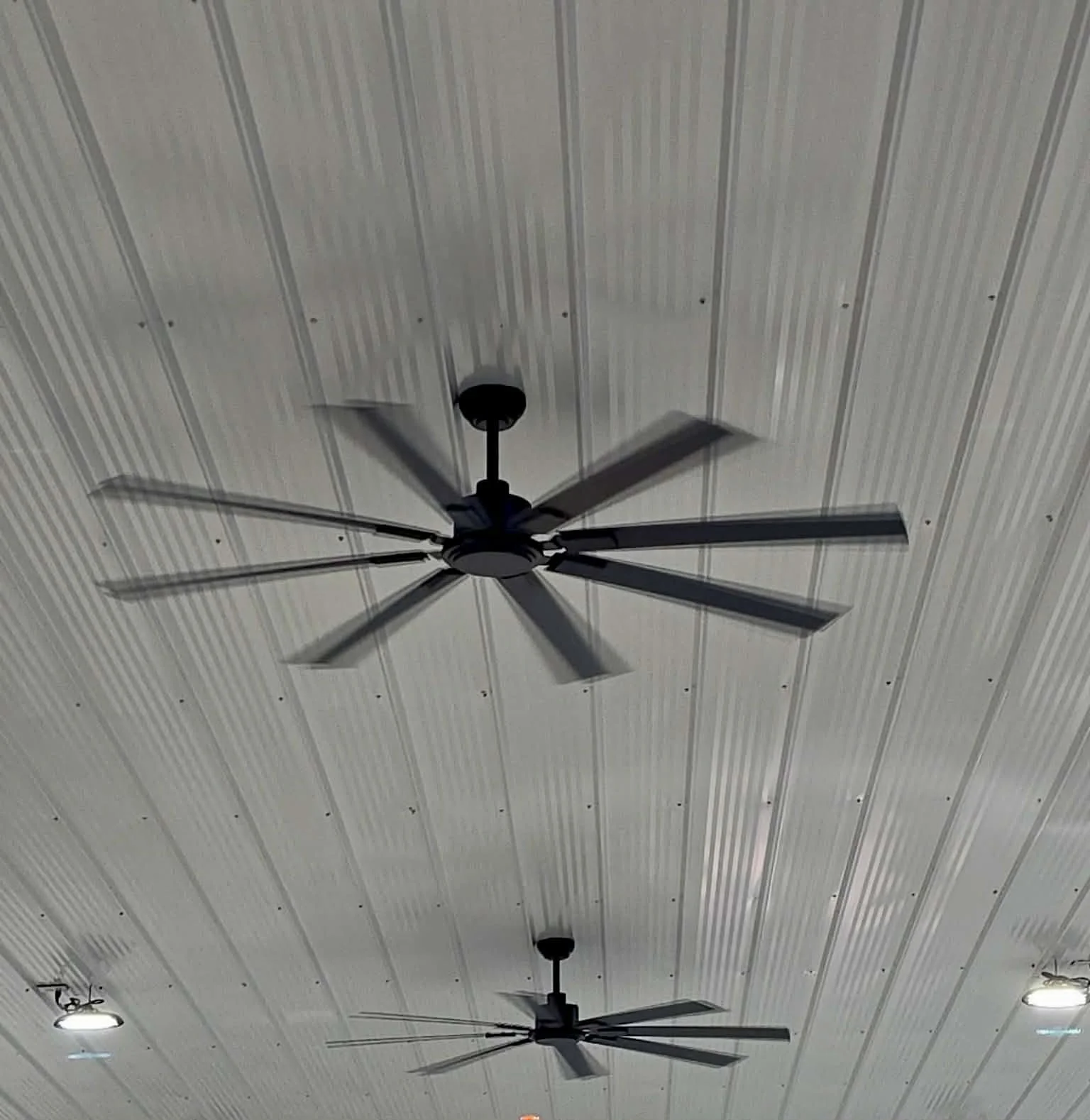 2ca1aca9-8fca-4802-93b8-c954fe19511a.jfif