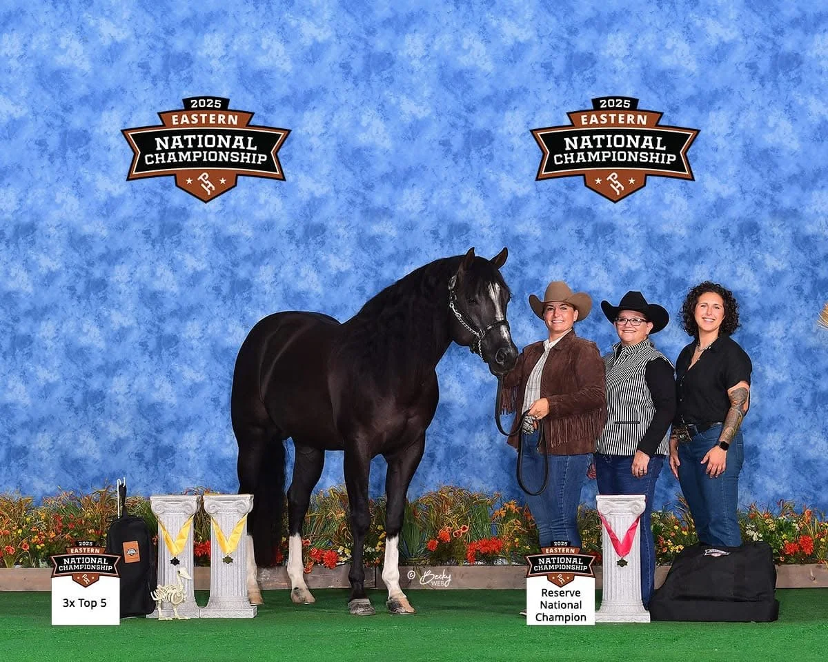 Three women with a black horse on a blue backdrop at the 2025 Eastern National Championship. The woman on the left is holding the horse's lead. There are championship ribbons and awards in front, including a sign that reads 'Reserve National Champion' and a small sign indicating '3x Top 5'.