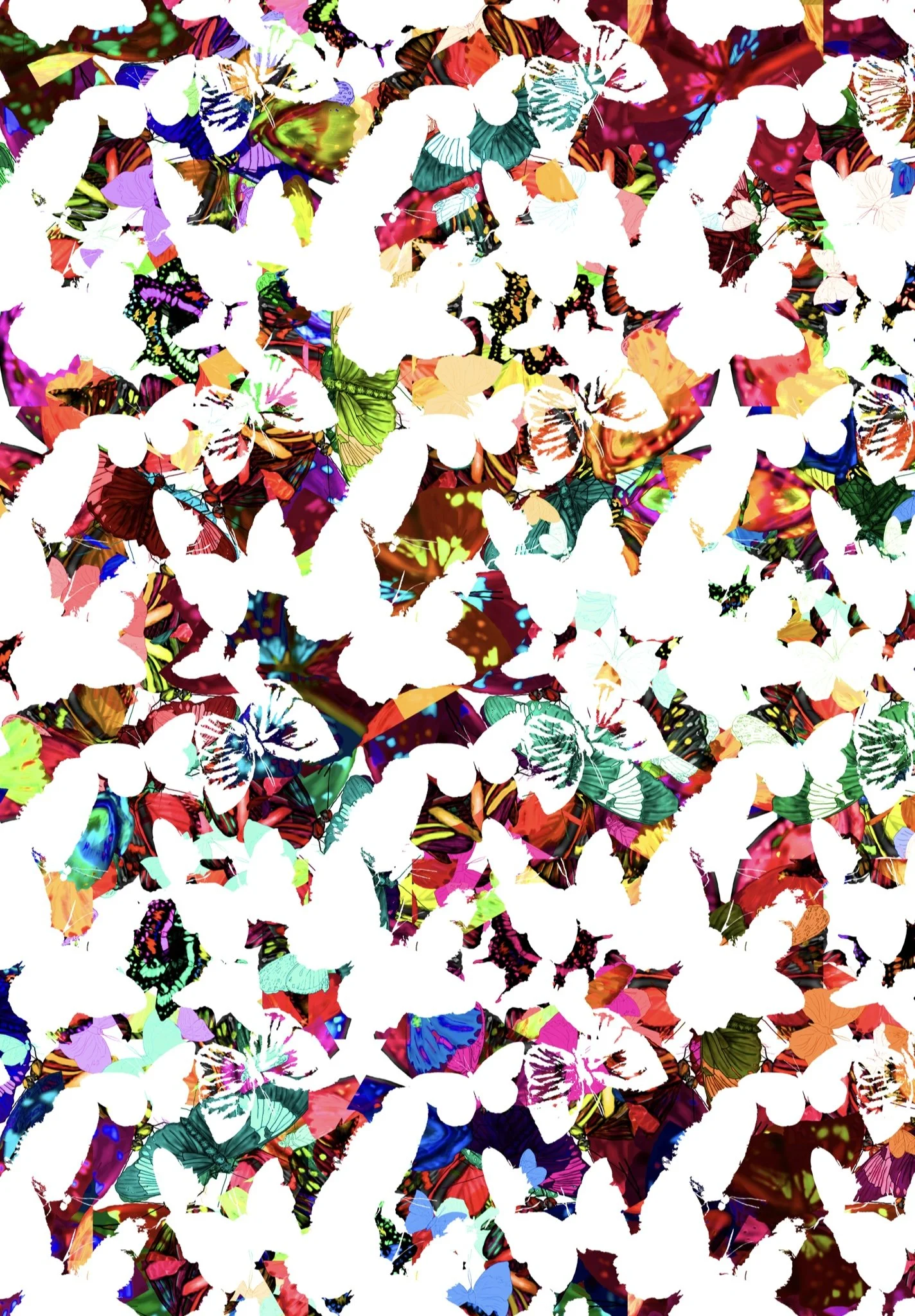 Butterfly Designs
