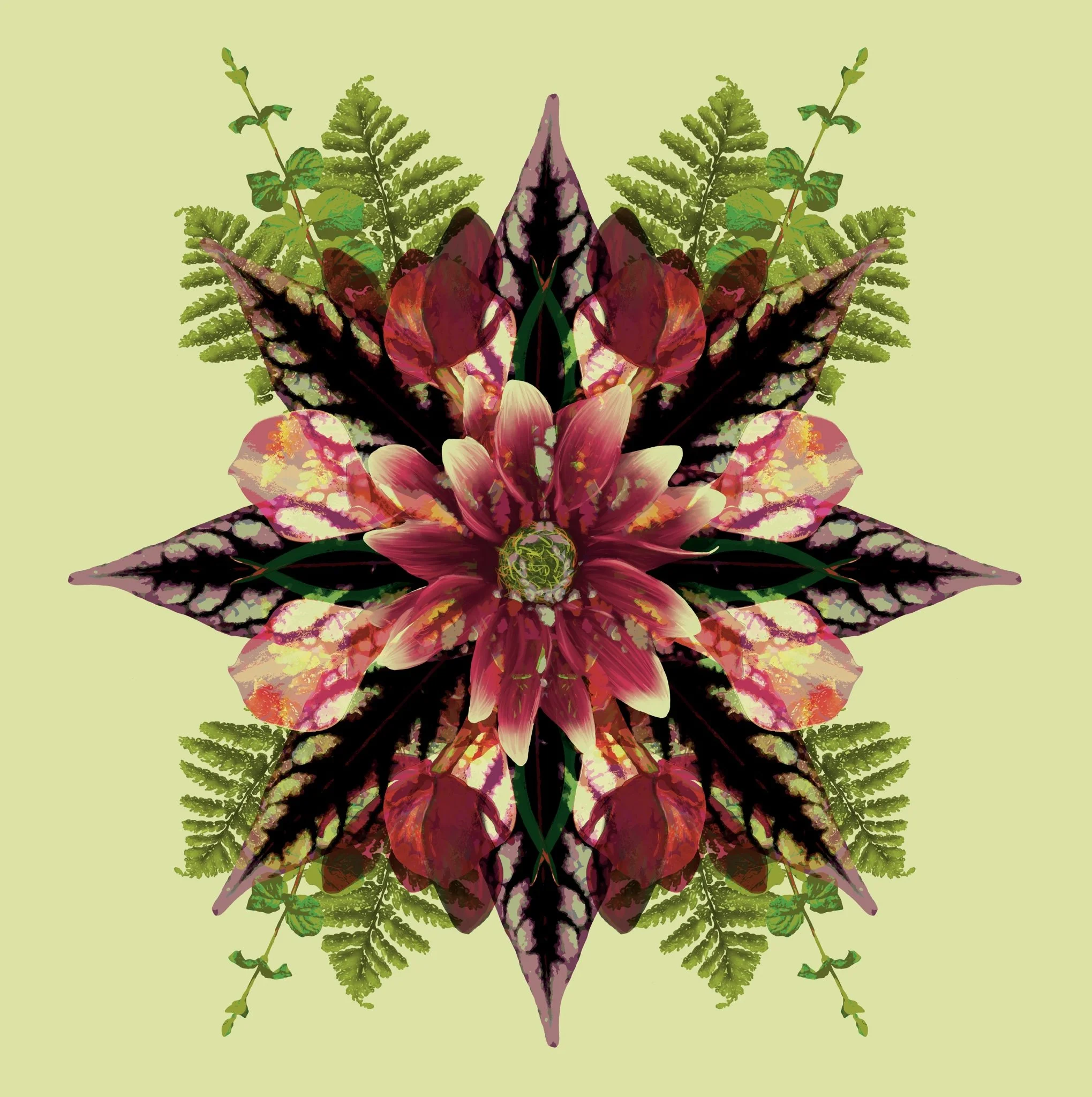 Square Explosion of Nature Designs