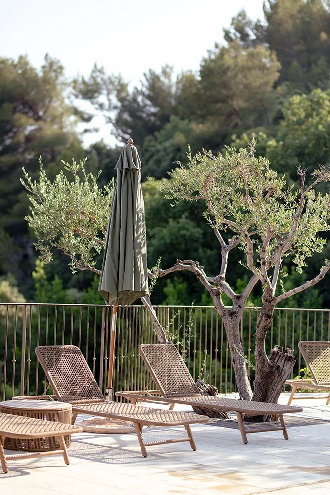 BASTIDE loungers.jpeg