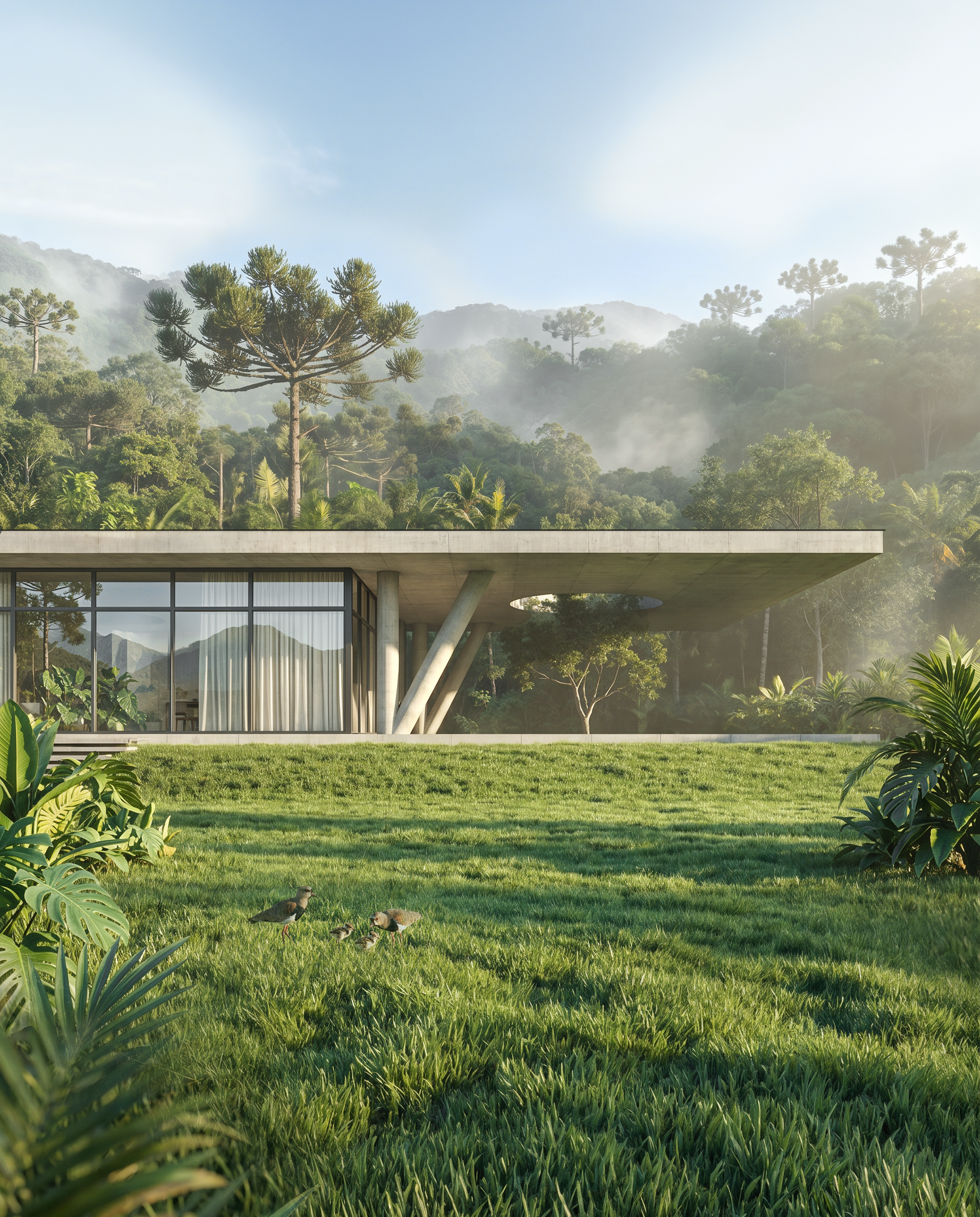 Casa Araucária