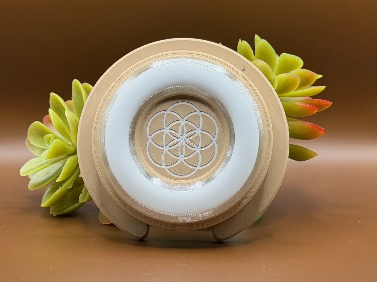 Aura Tongue Drum Light