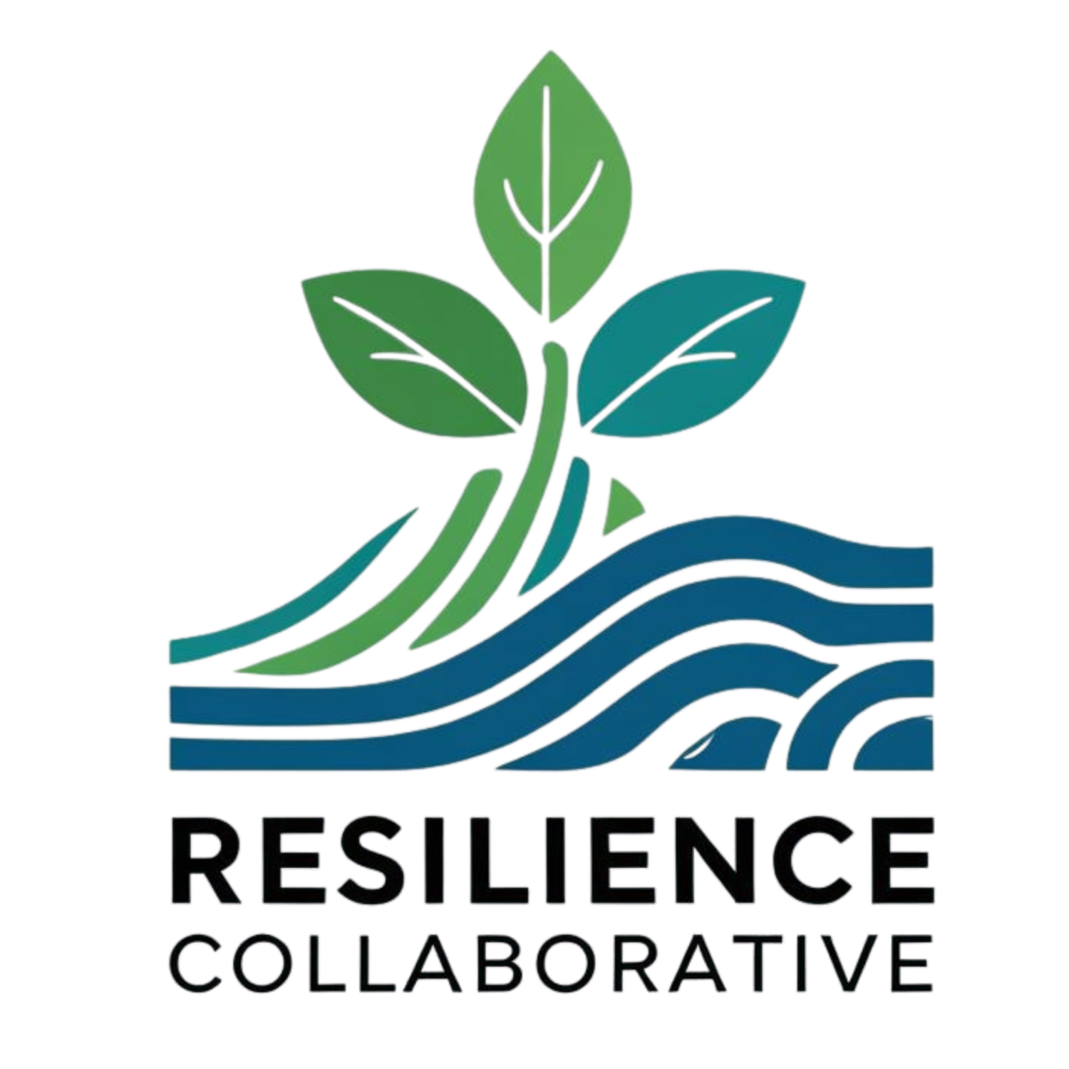 Resilience Collaborative