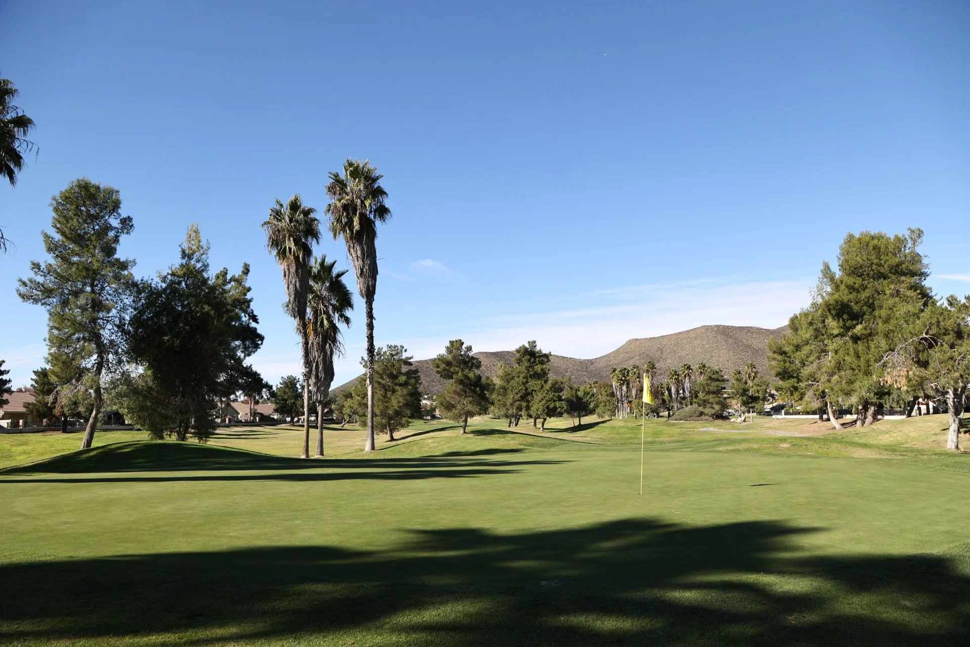 A scenic golf course with lush green grass and a yellow flag marking the hole, surrounded by tall palm trees and other trees, with mountains in the background under a clear blue sky.