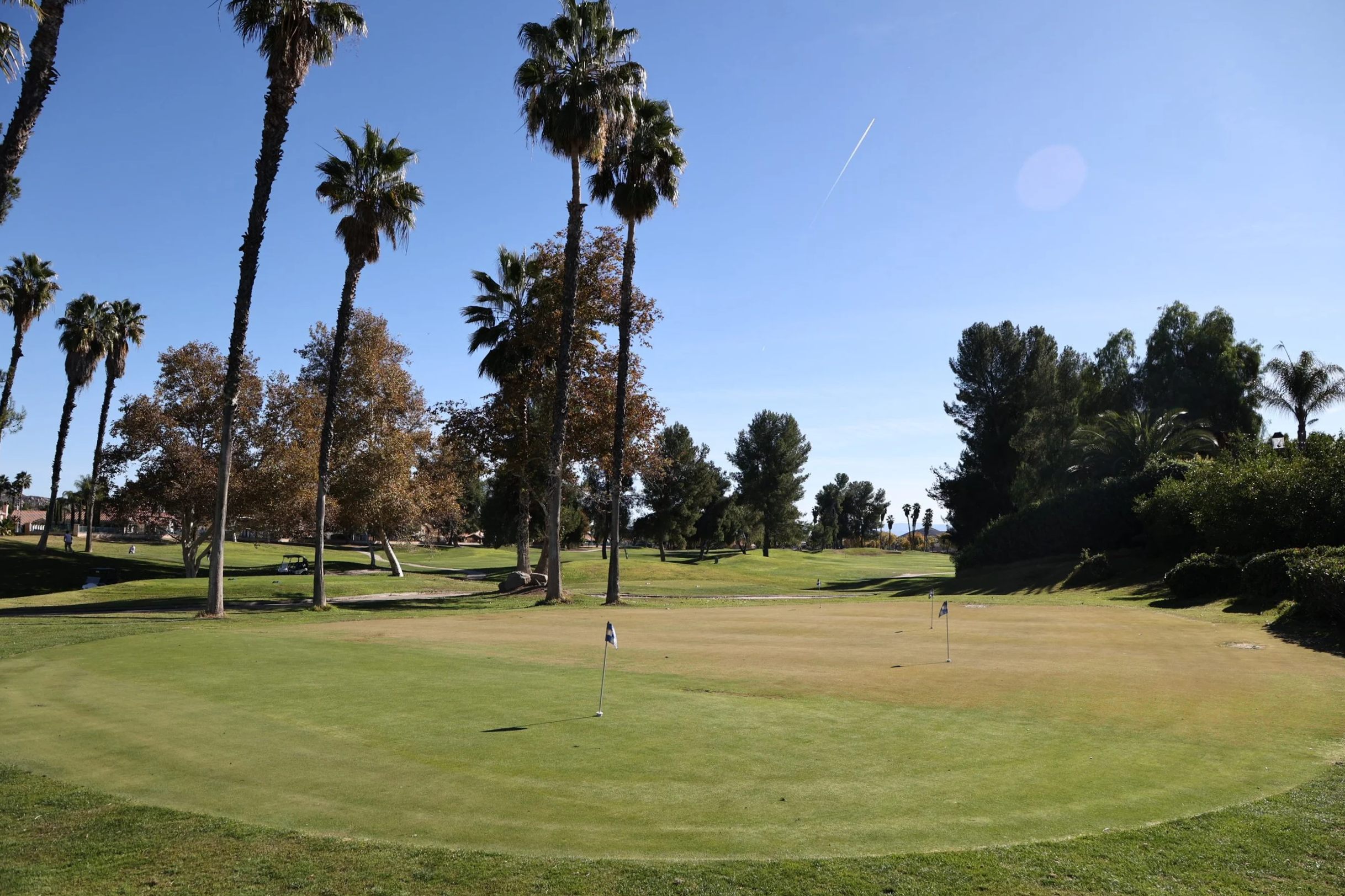 A golf course with several flags, lush green grass, tall palm trees, and a clear blue sky with a faint contrail.