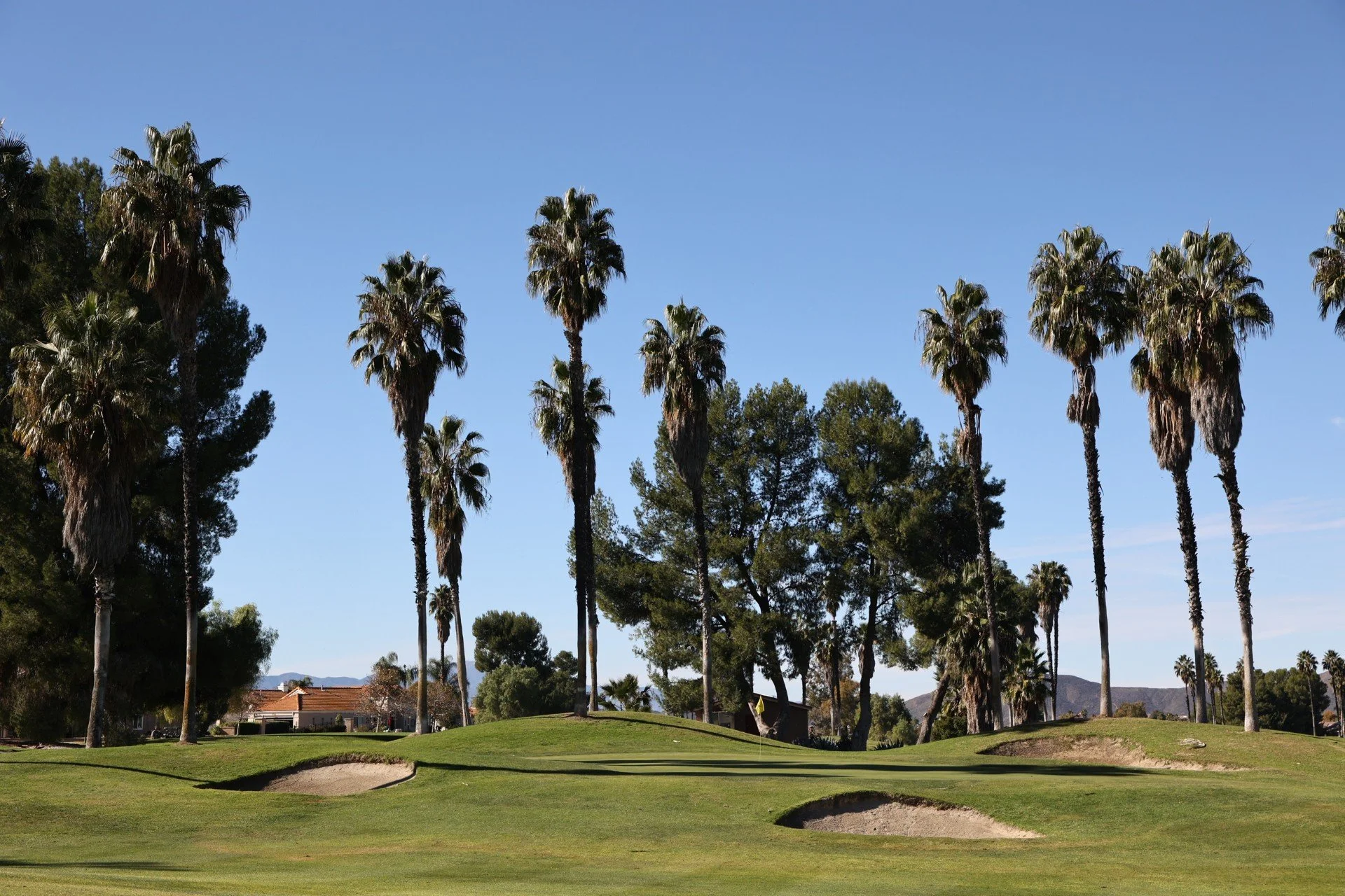 A golf course with sand traps, green grass, and tall palm trees against a blue sky.