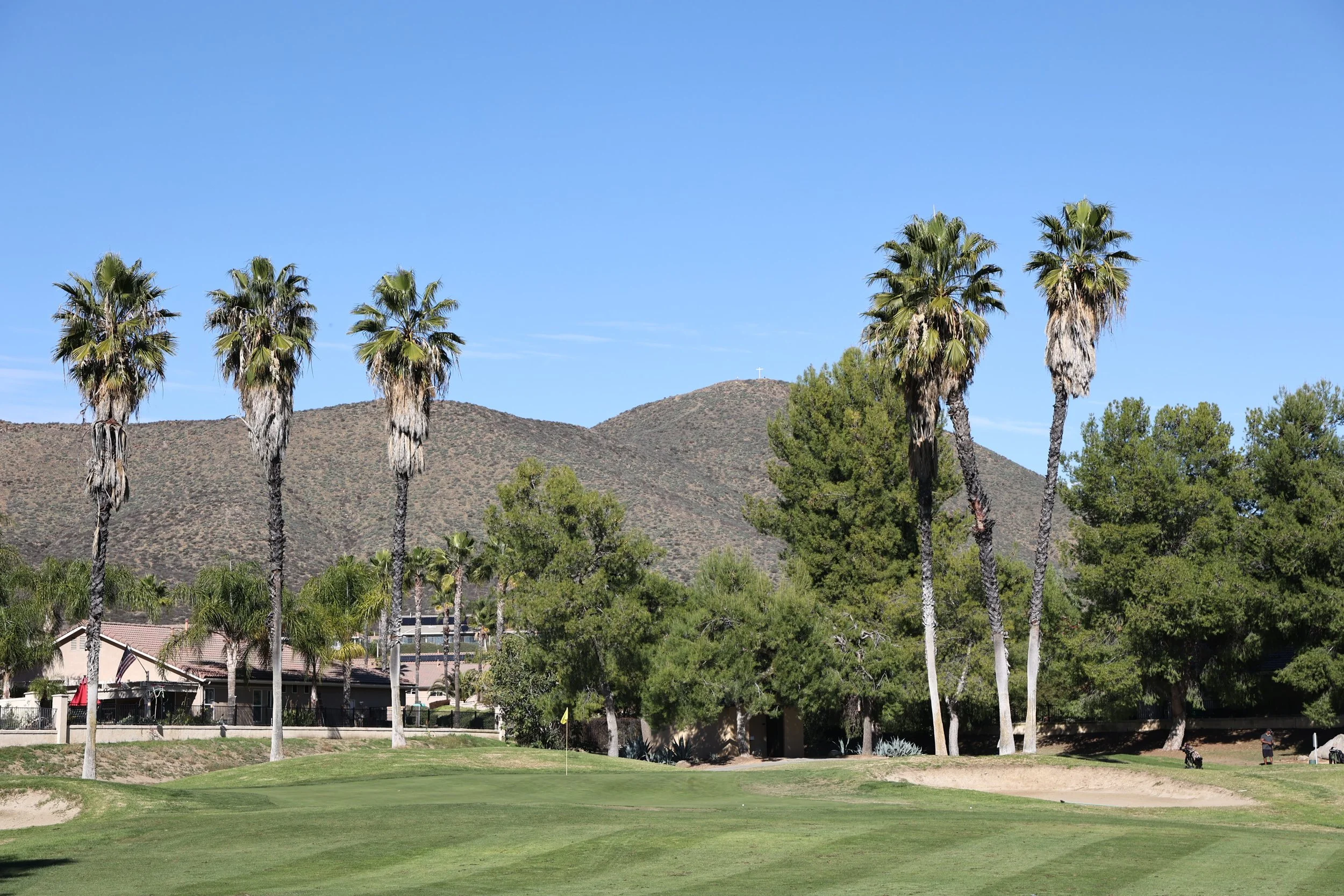 A golf course putting green with several tall palm trees and a mountain in the background under a clear blue sky.