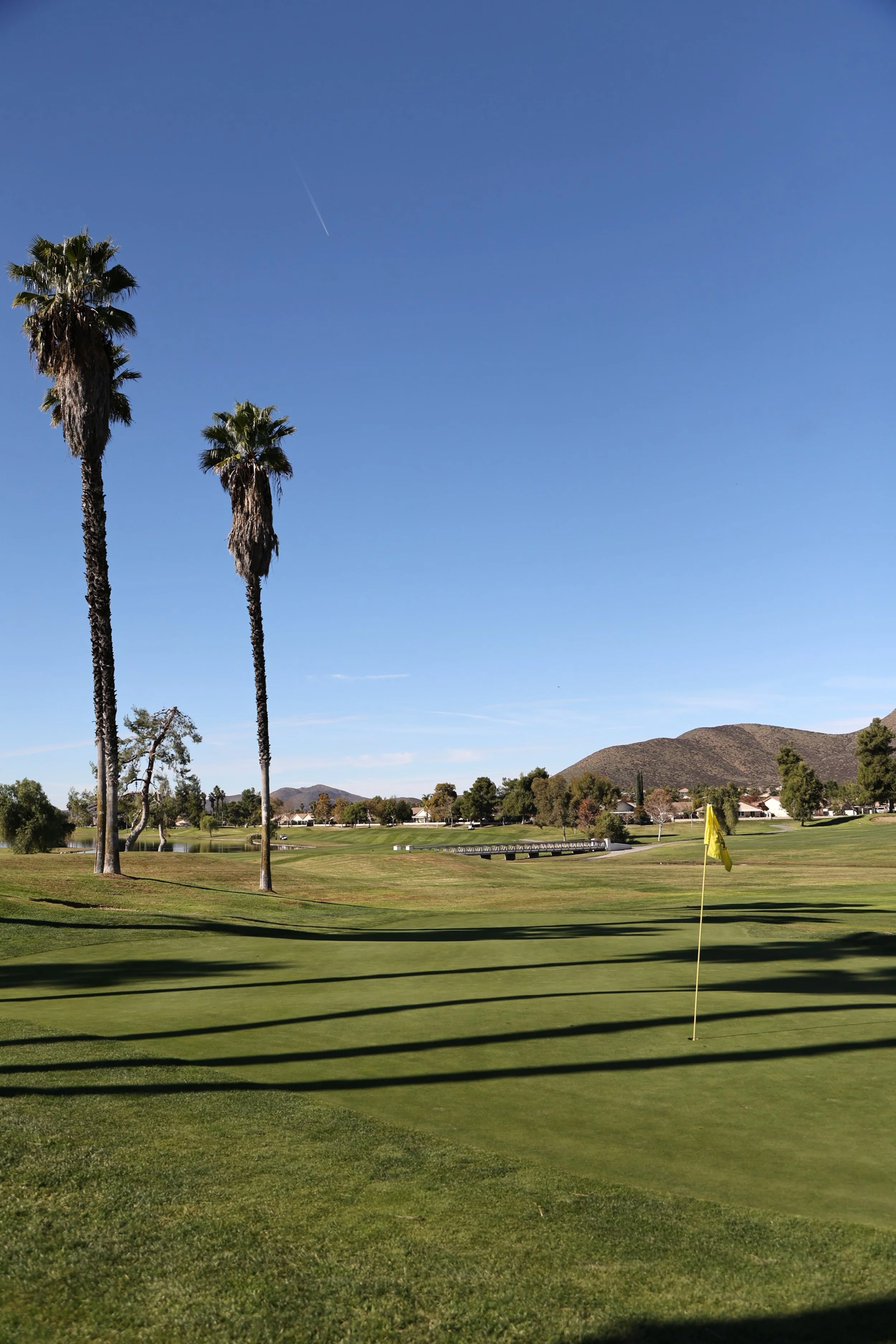 A golf course with green grass, a yellow flag, tall palm trees, and a clear blue sky.