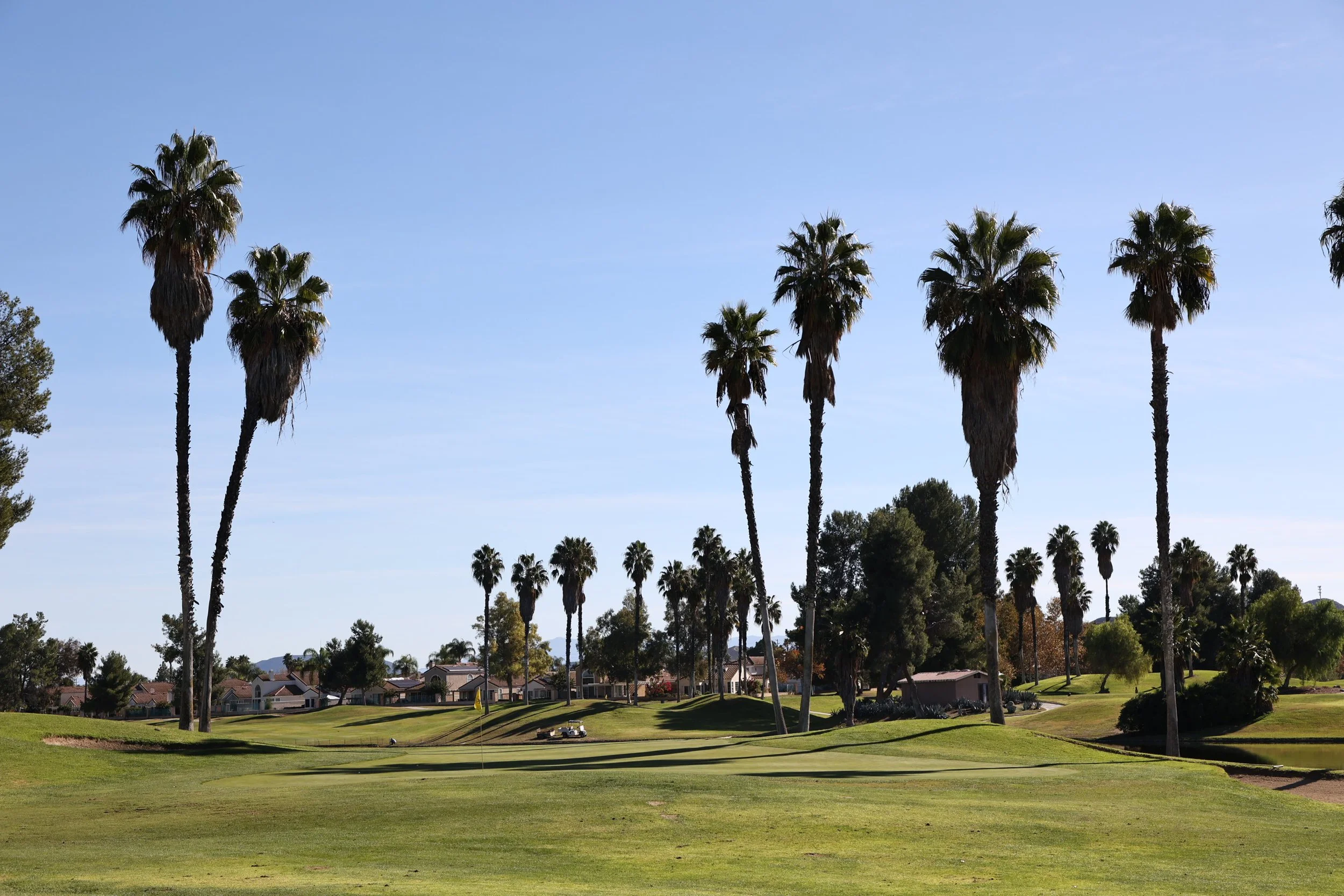 A golf course with green grass, a yellow flag, and tall palm trees under a clear blue sky.