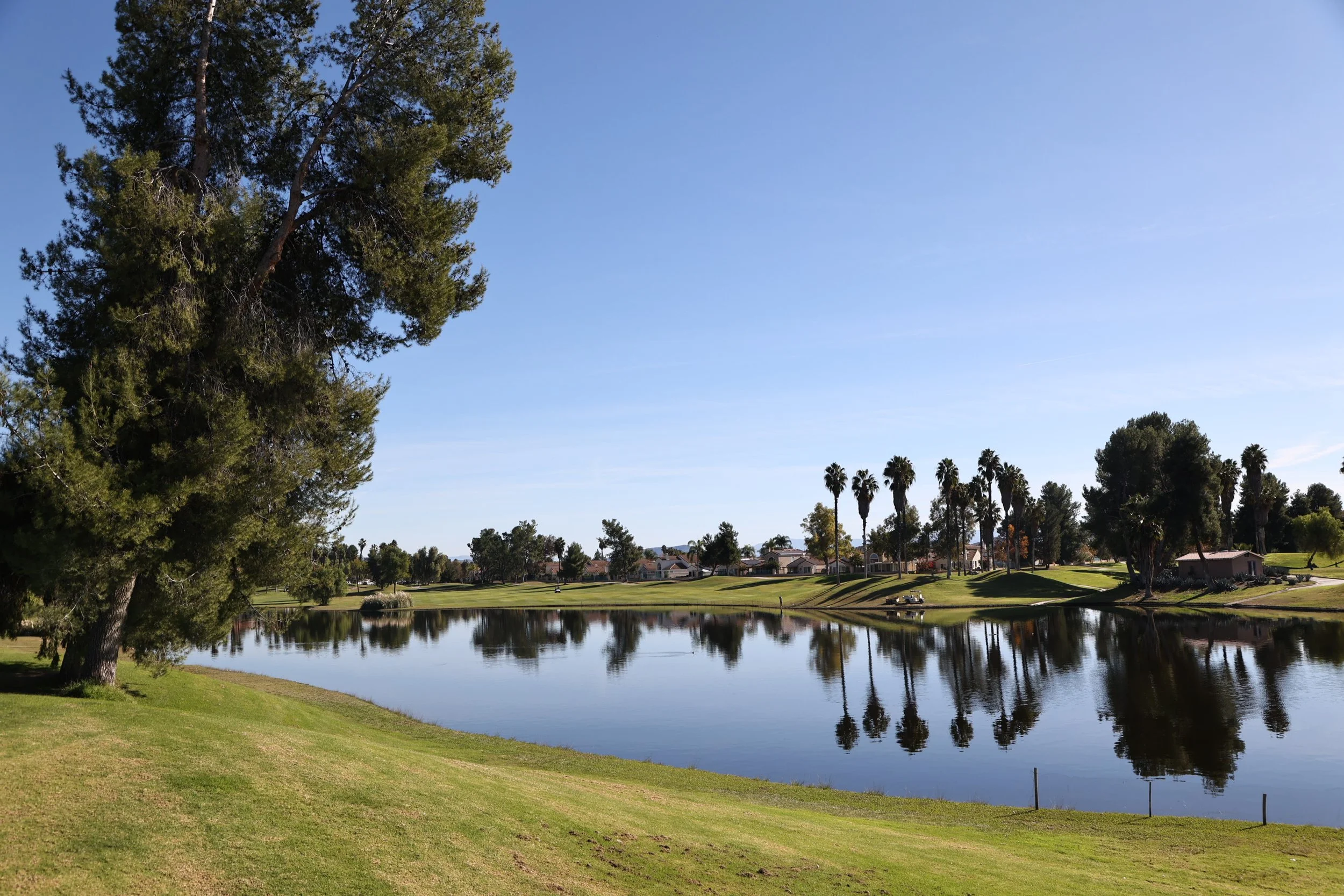 A peaceful golf course with a pond reflecting the trees and sky, surrounded by lush green grass and a few houses in the background under a clear blue sky.