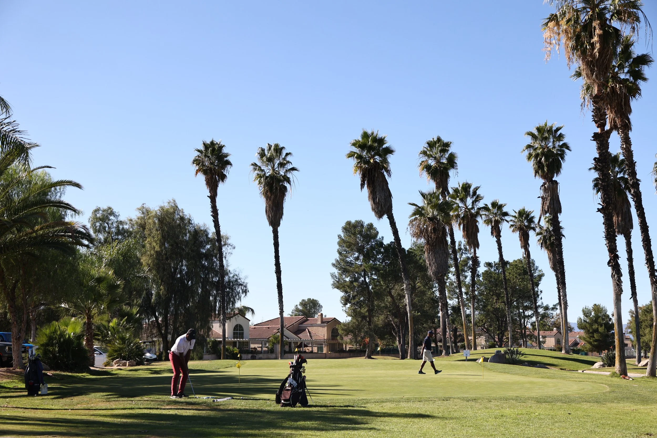 A golf course with three people playing, surrounded by tall palm trees and other greenery under a clear blue sky.