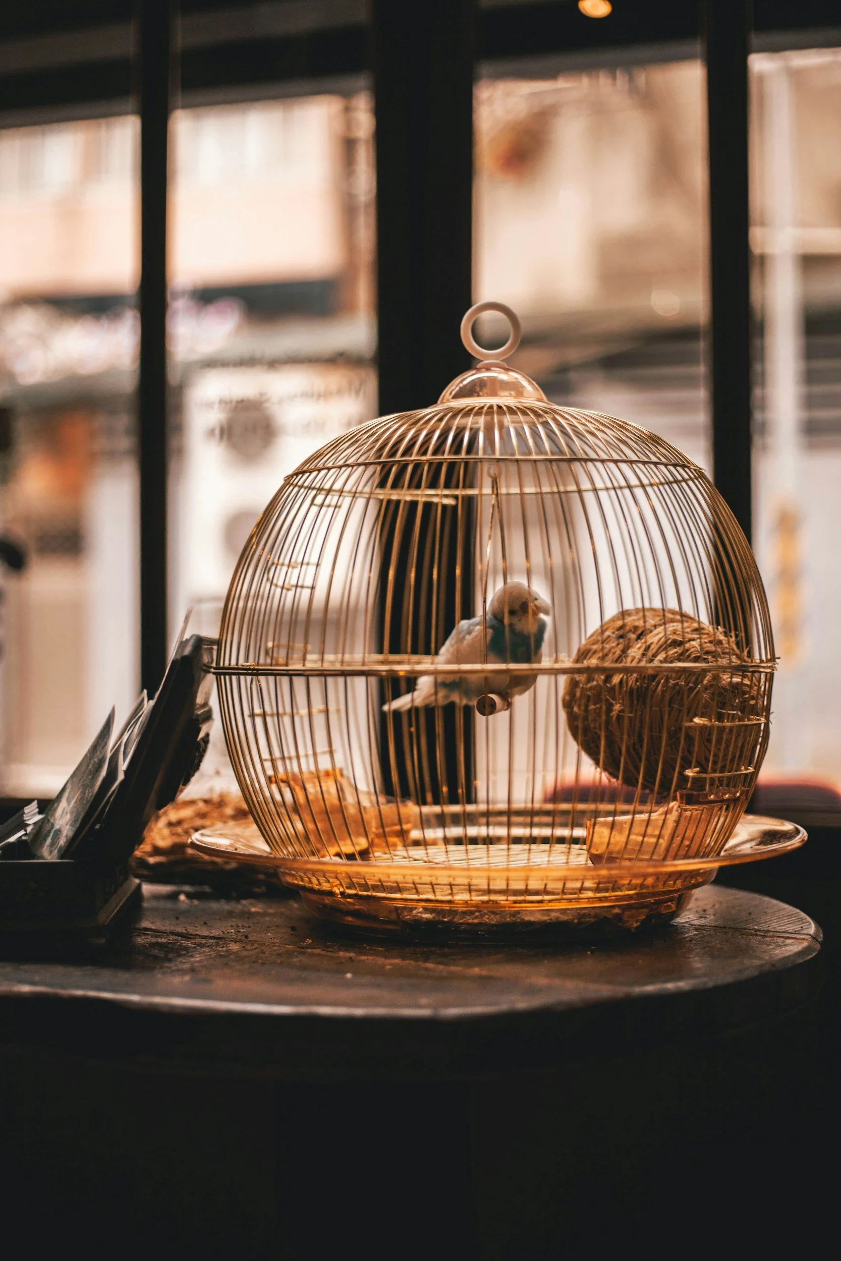 The Golden Cage: Why High-Functioning Anxiety is a Silent Killer