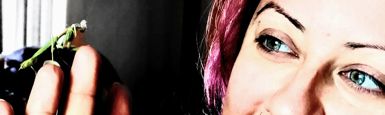 Free 15 Minute Consult