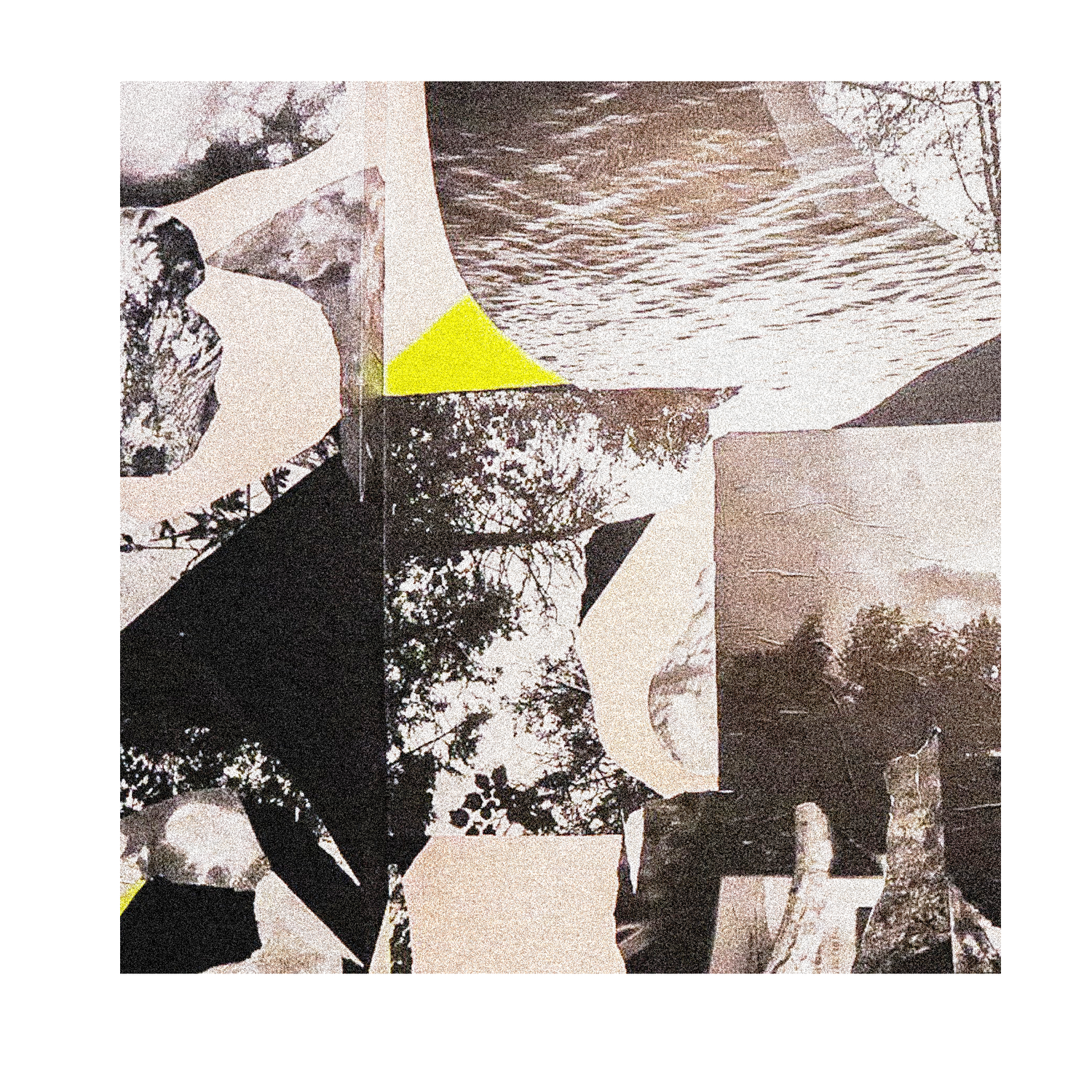 madison van rijn.webp