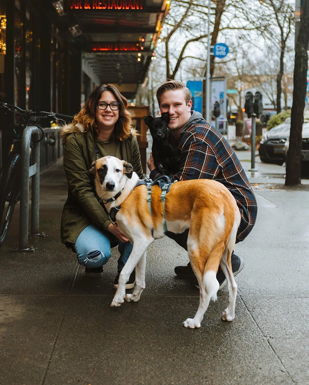 Adoption Announcement!💛

Congratulations to Dasher, Holly, Jangle, Blitzen, Cupid, Jingle and Rudolph!🎉

Maxwell also got sent to a foster!
 
As always, thank you to everyone who applied and came to visit us this week. We couldn&rsquo;t do this wit