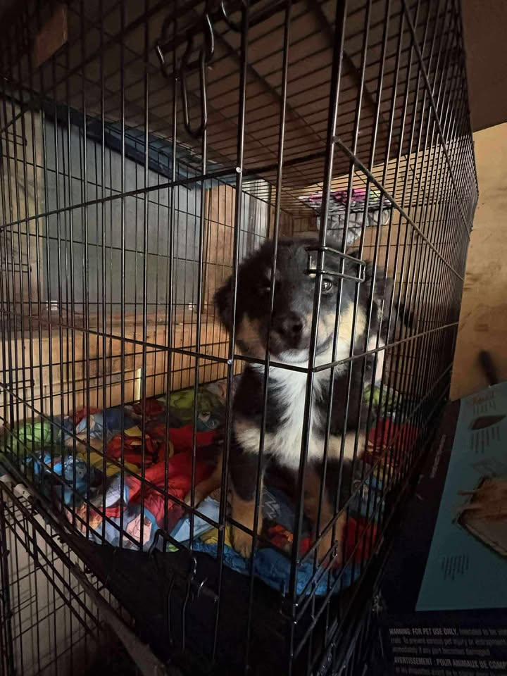 Scenic landscape with a lake, rolling green hills in the foreground, and tall mountains in the background under a cloudy sky.