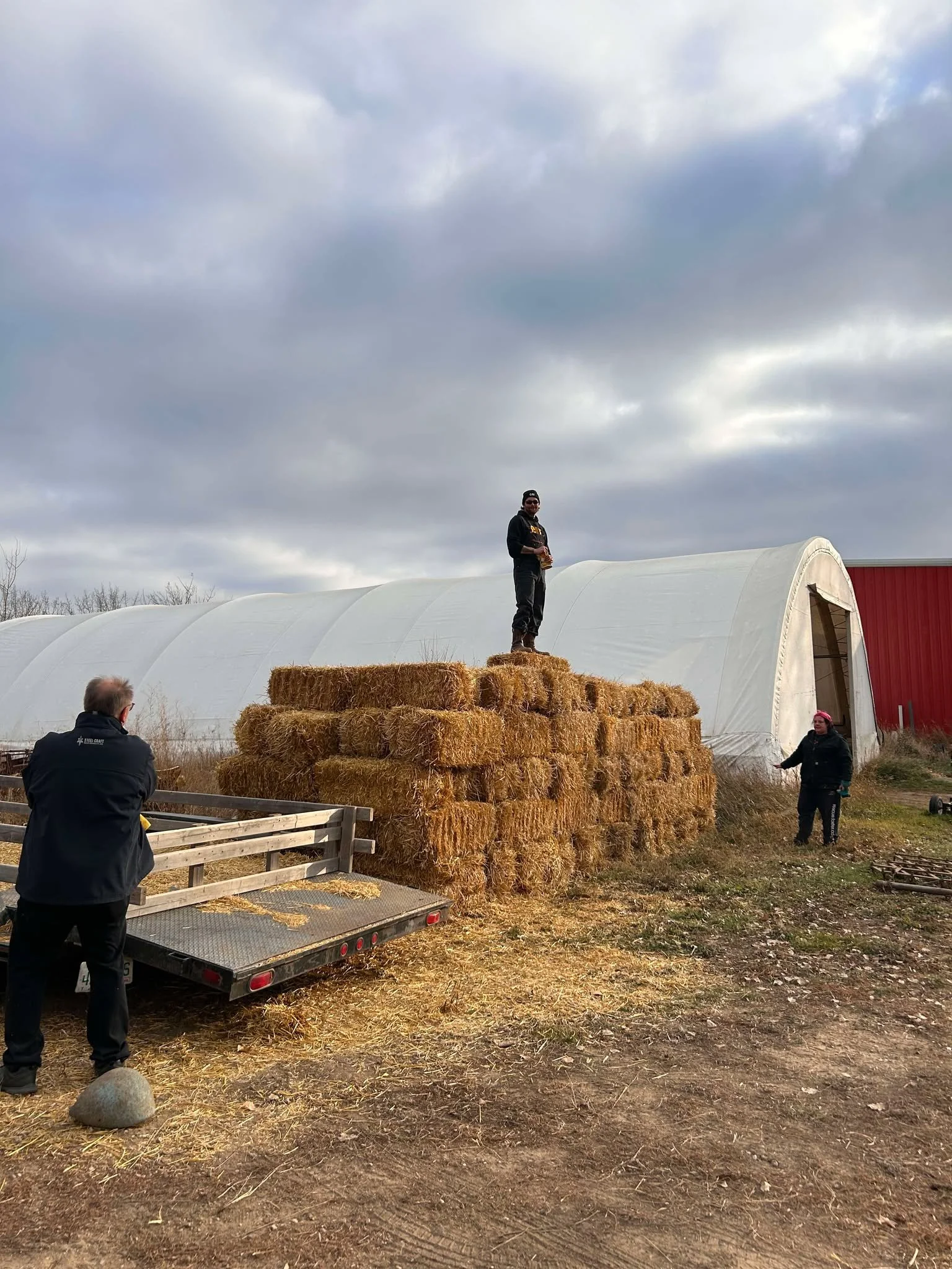 Modern house with wood paneling and large glass window, surrounded by yellow wildflowers and mountains in the background.