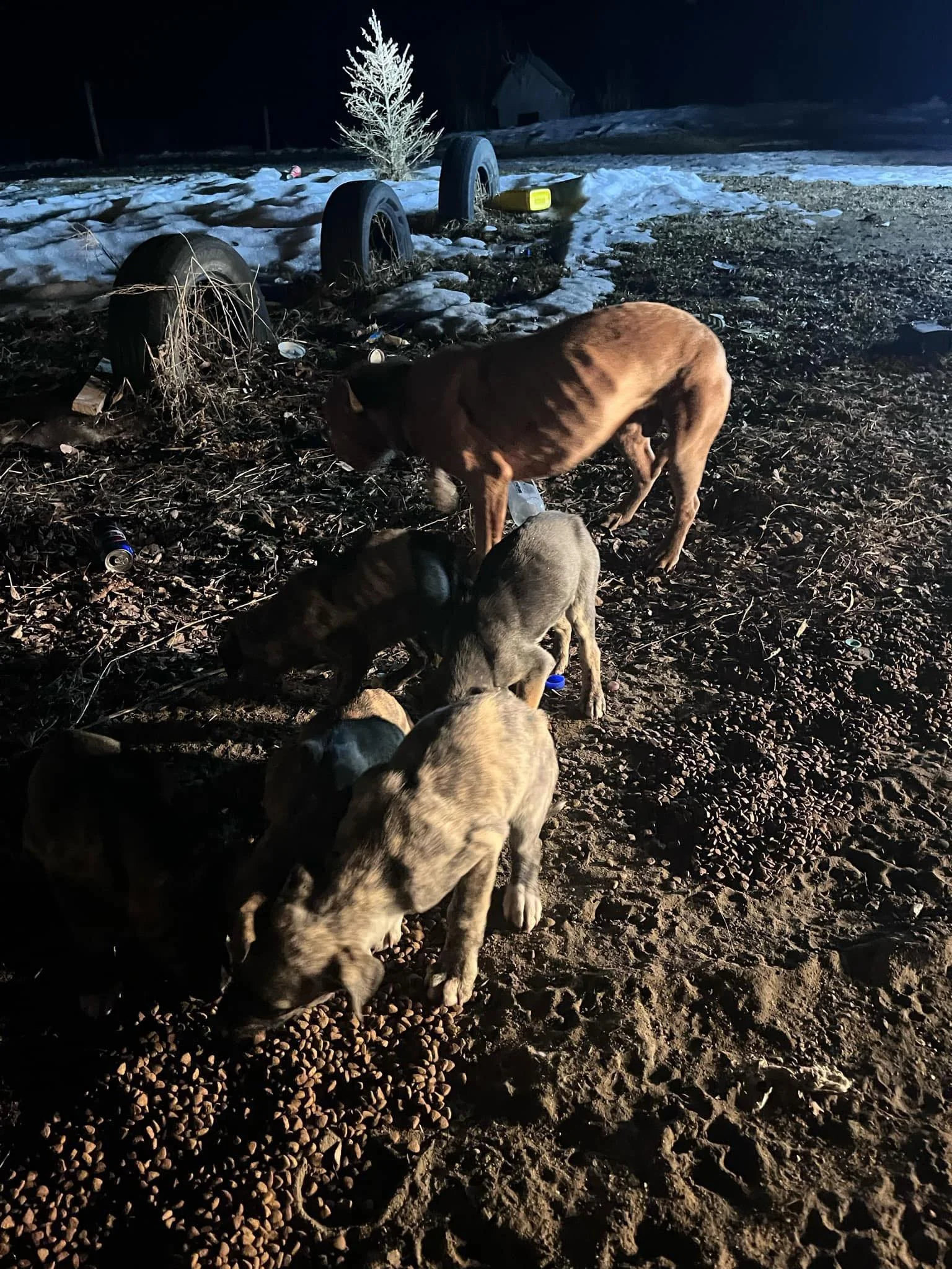A building on a hill with mountainous, snow-capped peaks in the background under a cloudy sky.