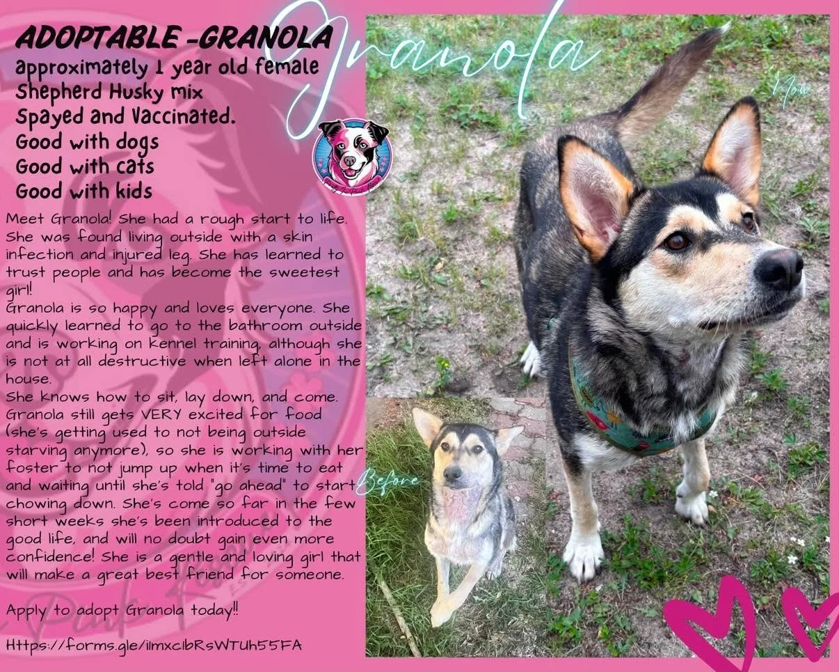 Dog adoption poster featuring a young, mixed-breed dog named Granola with a black, tan, and white coat, standing on grass. The poster includes a before-and-after comparison photo of Granola, with a description of her story and qualities, and colorful