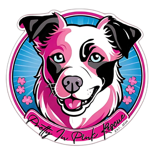 Illustration of a dog with a pink, black, and white face, blue eyes, surrounded by pink flowers, with the text "Pretty In Pink Pooch" and "EST. 2021".