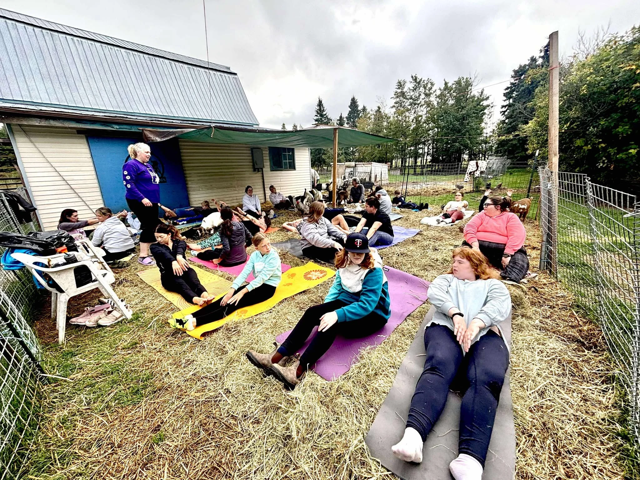 Group of people practicing yoga outdoors in a fenced area with hay, some lying on mats and some sitting, with goats and trees in the background.