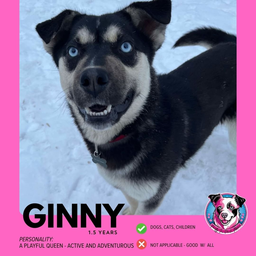 Copy of Copy of ADOPTION PROFILES.jpg