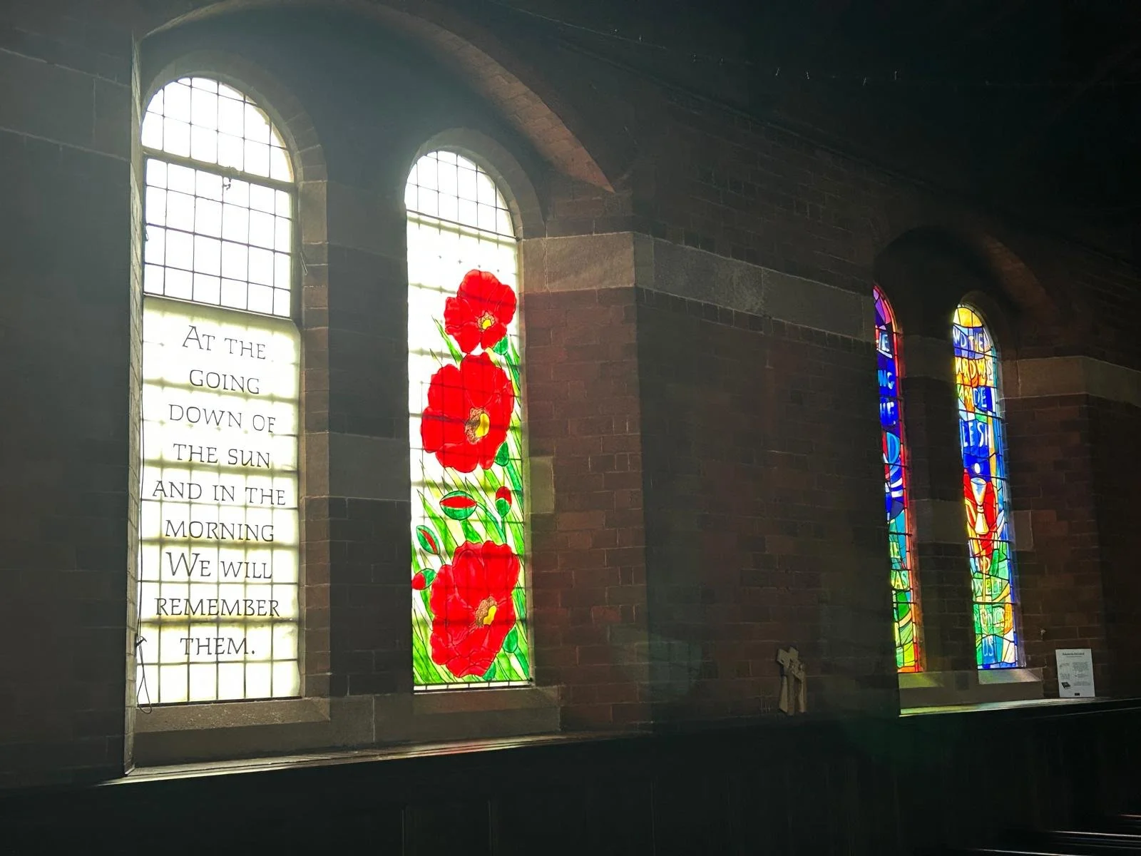 Newsletter: November