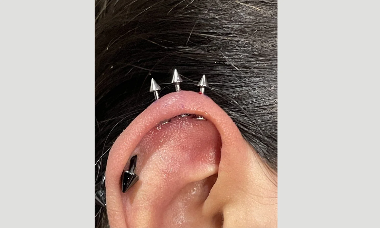 Industrial ear piercing with spike jewelry performed by a professional piercer in San Antonio
