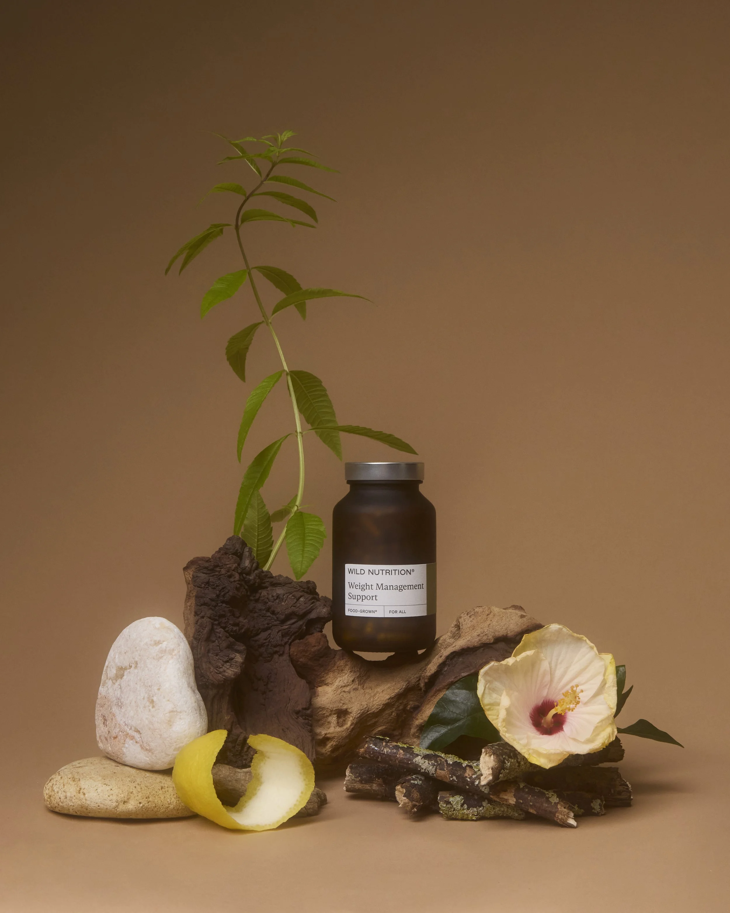 WILD NUTRITION3541_4_5.jpg