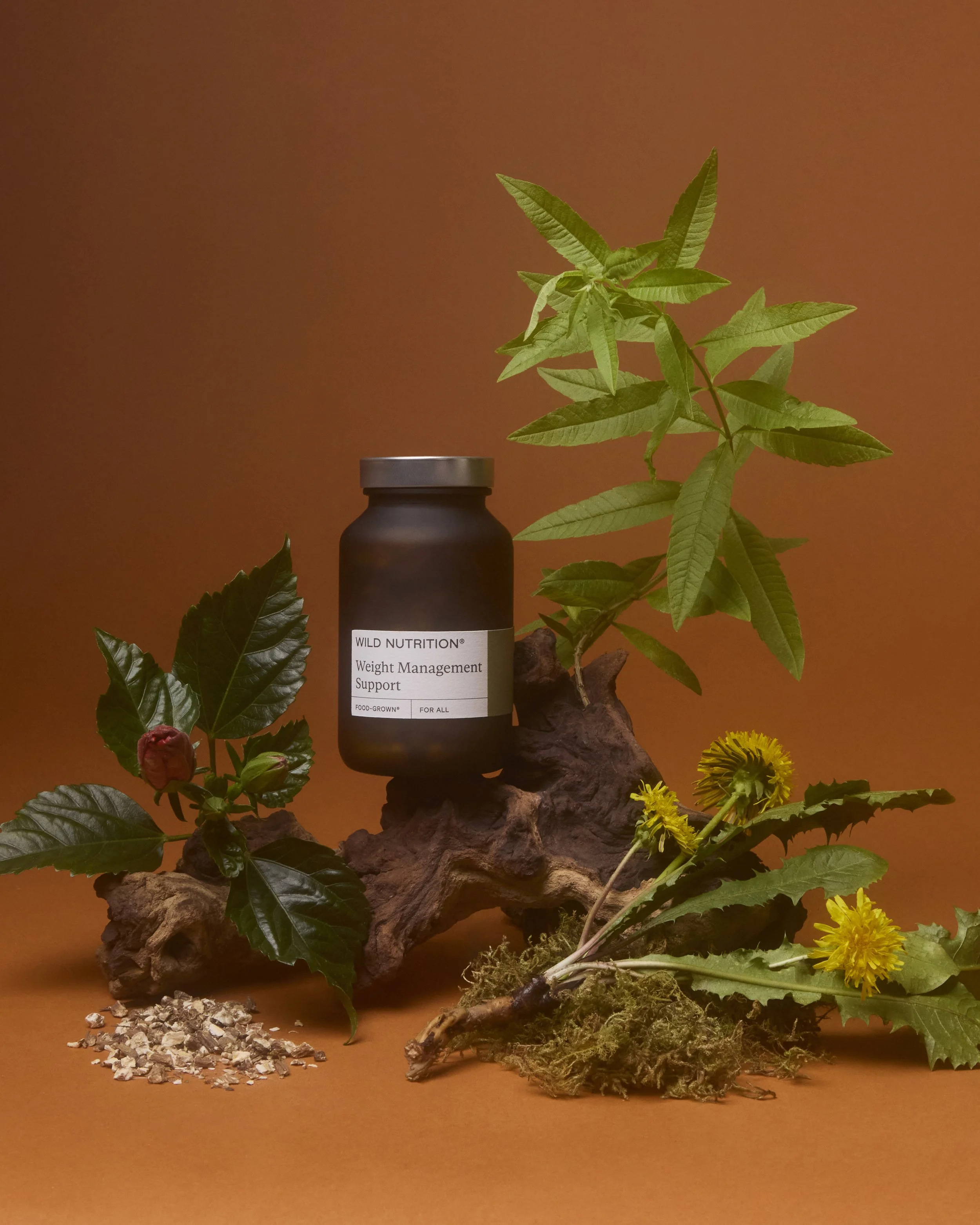 WILD NUTRITION3512_4_5.jpg