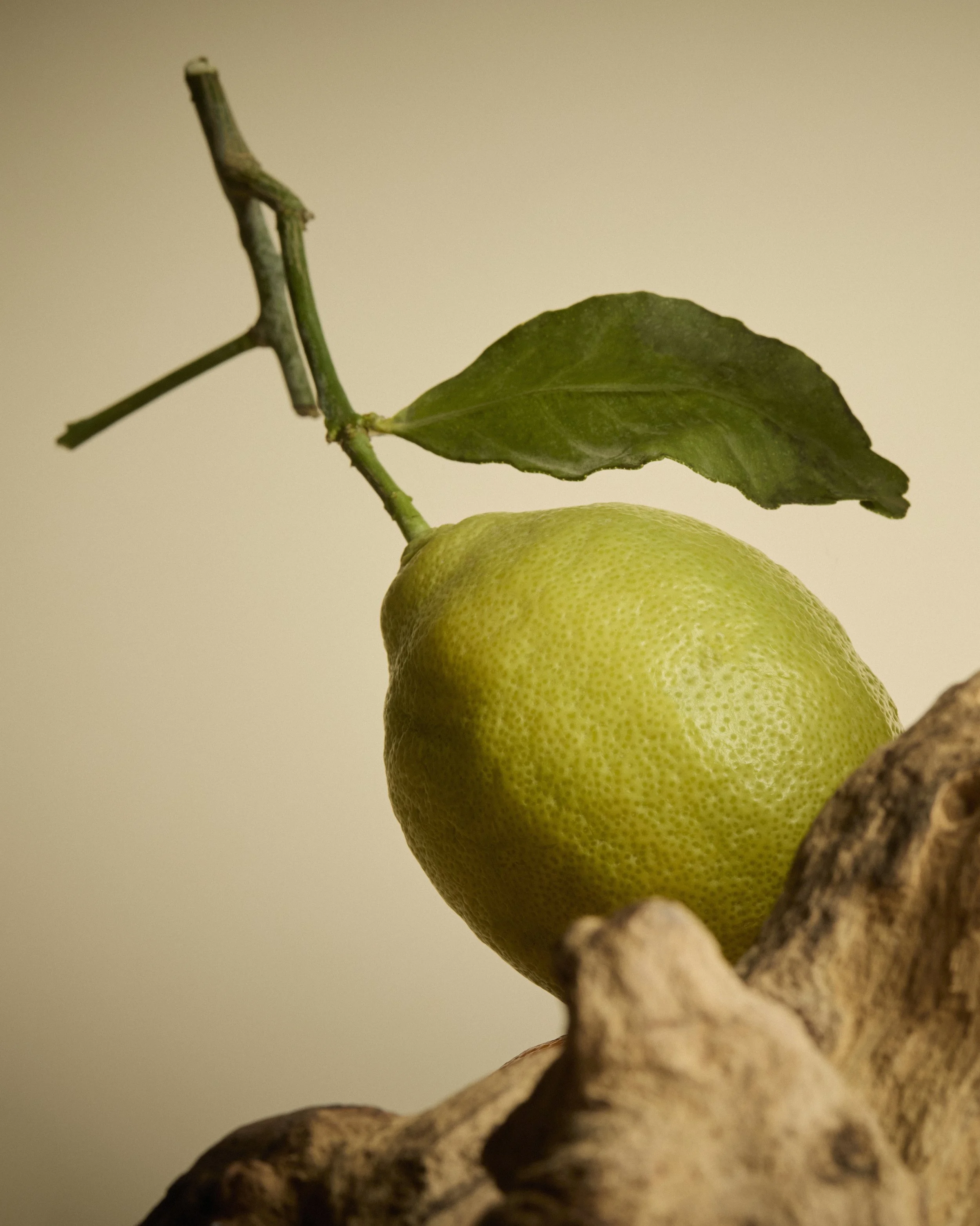 Wild_Nutrition_Vitamin_C 14 1_4x5_.jpg