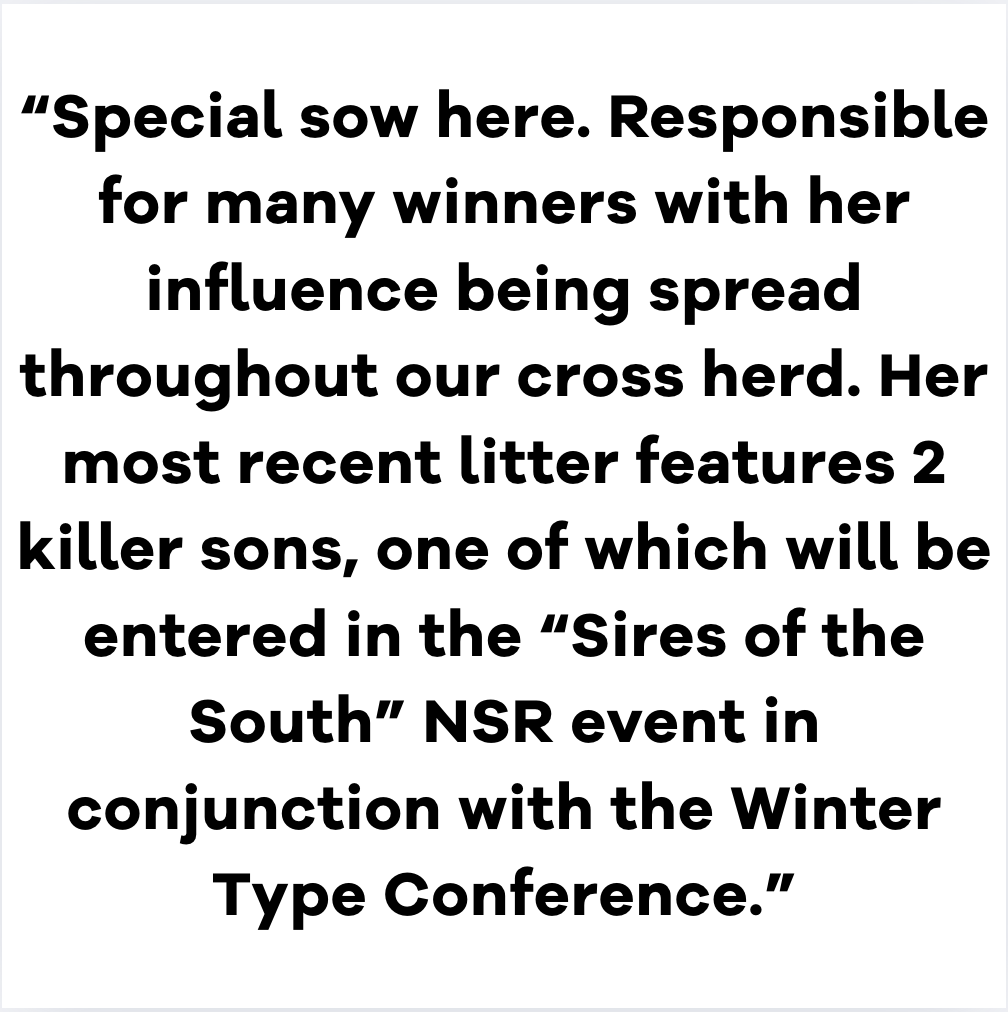 Screenshot 2025-12-15 at 2.21.04 PM.png