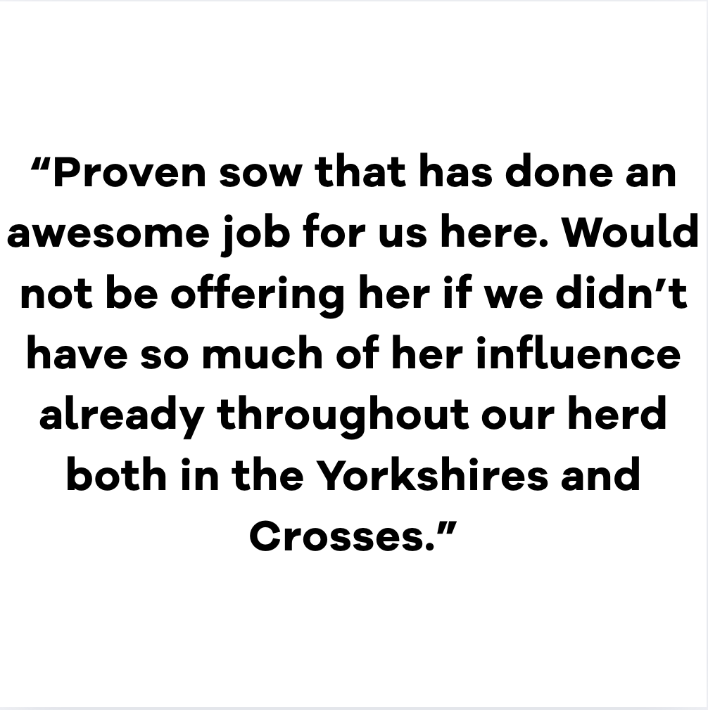 Screenshot 2025-12-15 at 12.10.33 PM.png