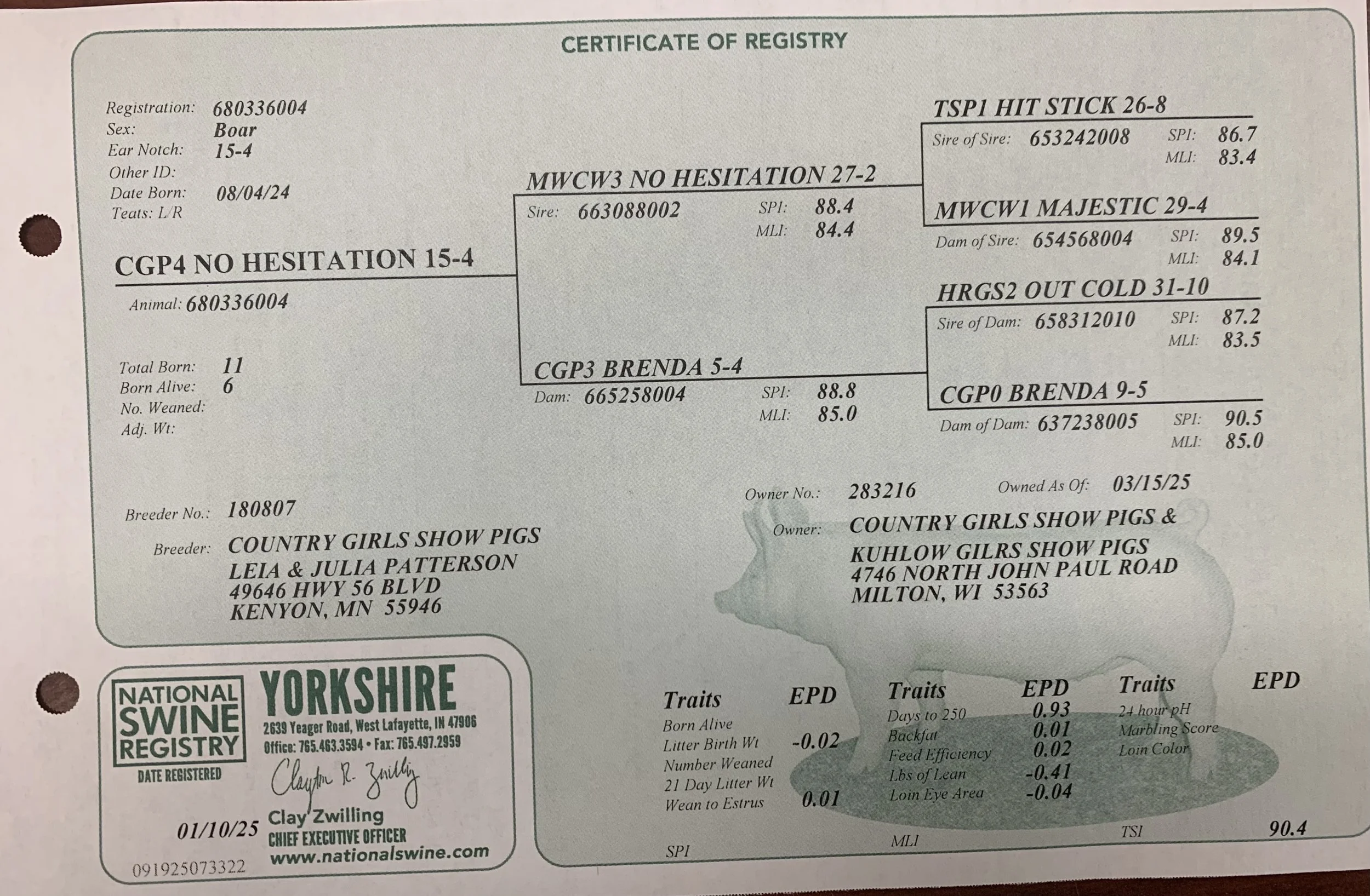 No Hesitation Pedigree