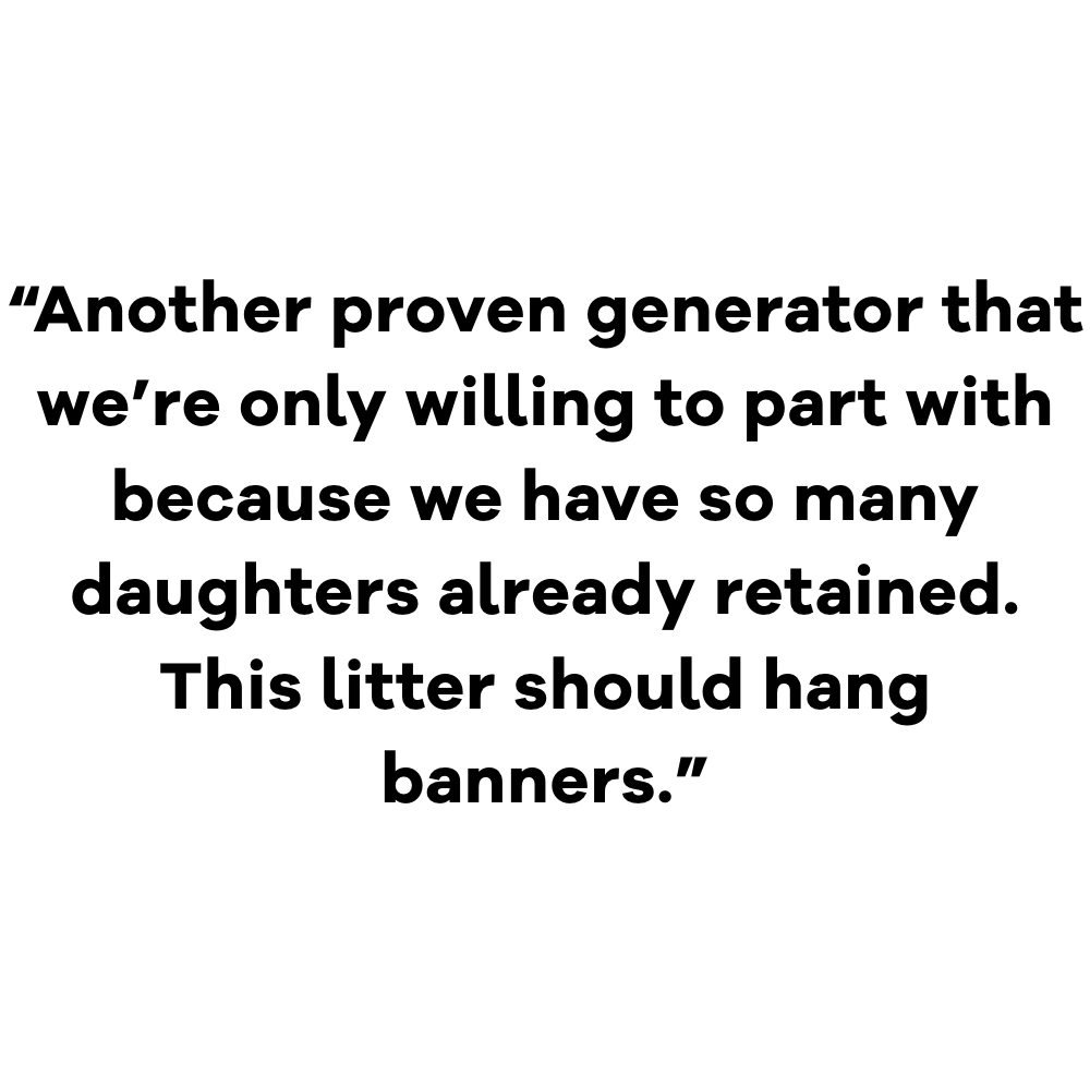 Screenshot 2025-12-15 at 2.33.04 PM.png