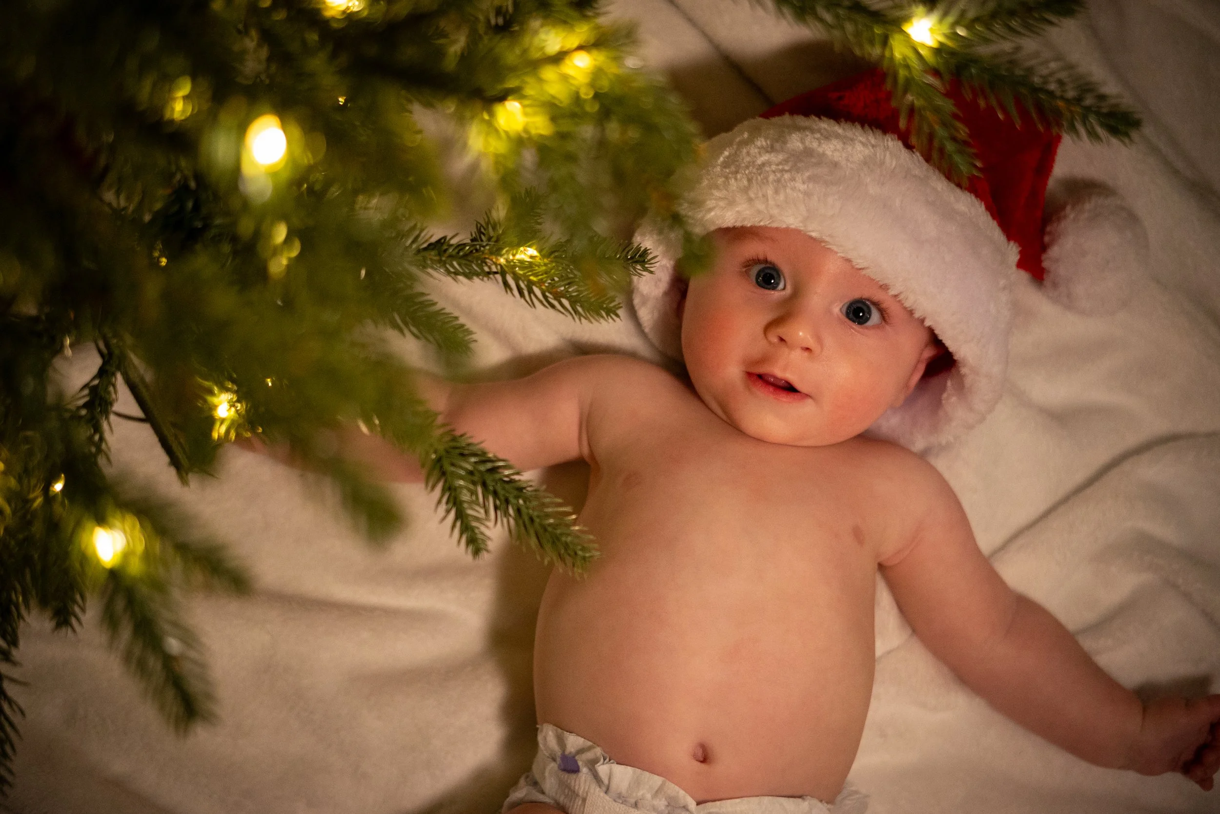 Kash Christmas Photos-05.jpg